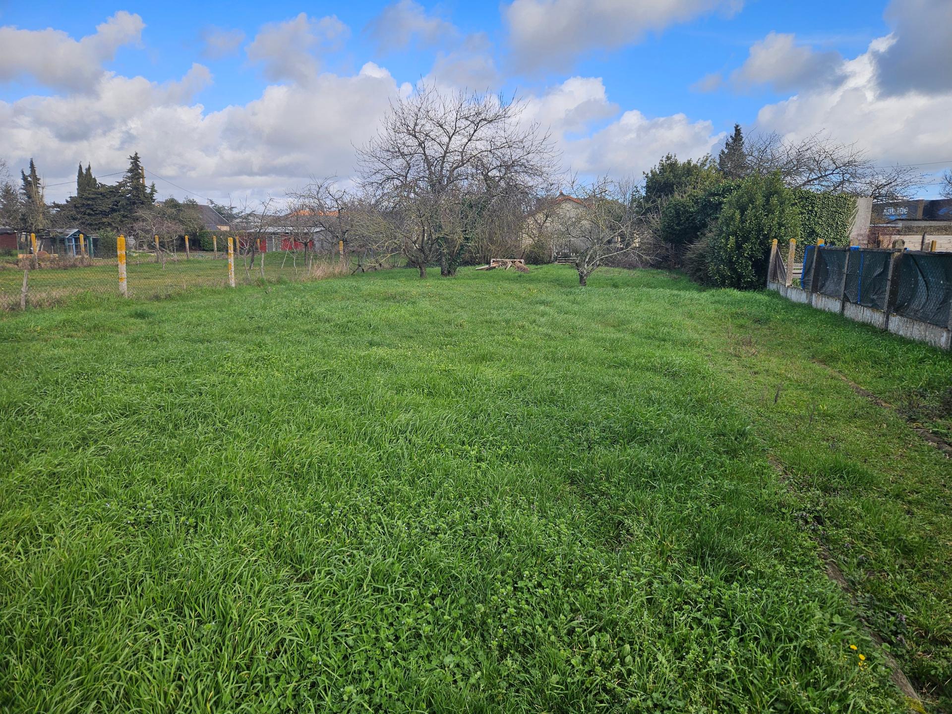 Miniature photo - 11 / 13