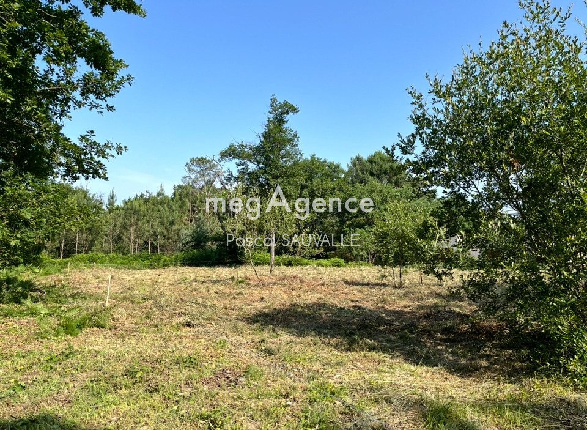 Photographie descriptive du bien