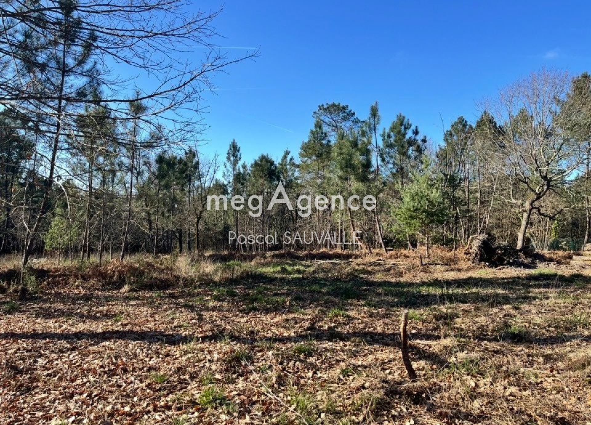 Photographie descriptive du bien