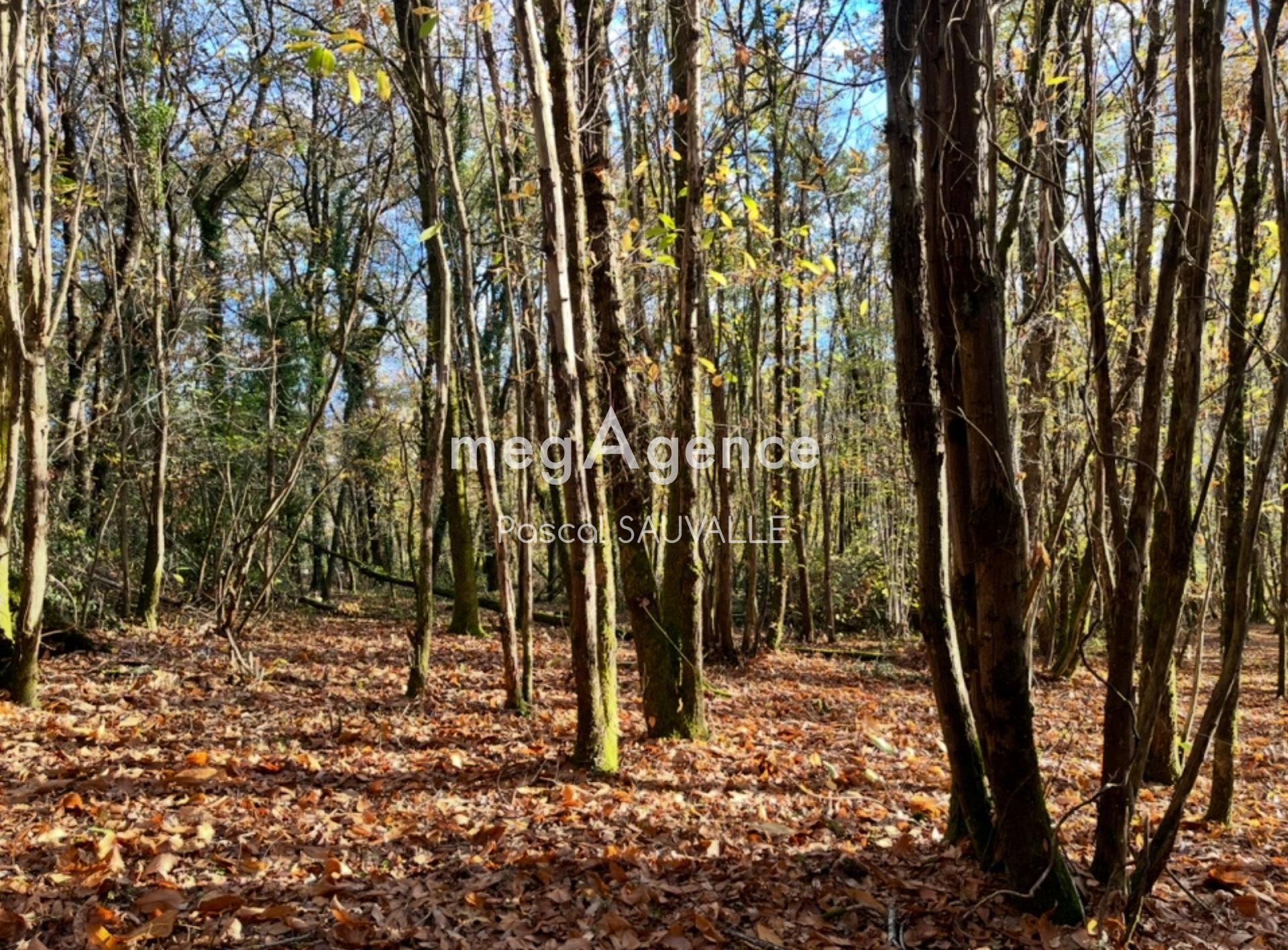 Photographie descriptive du bien