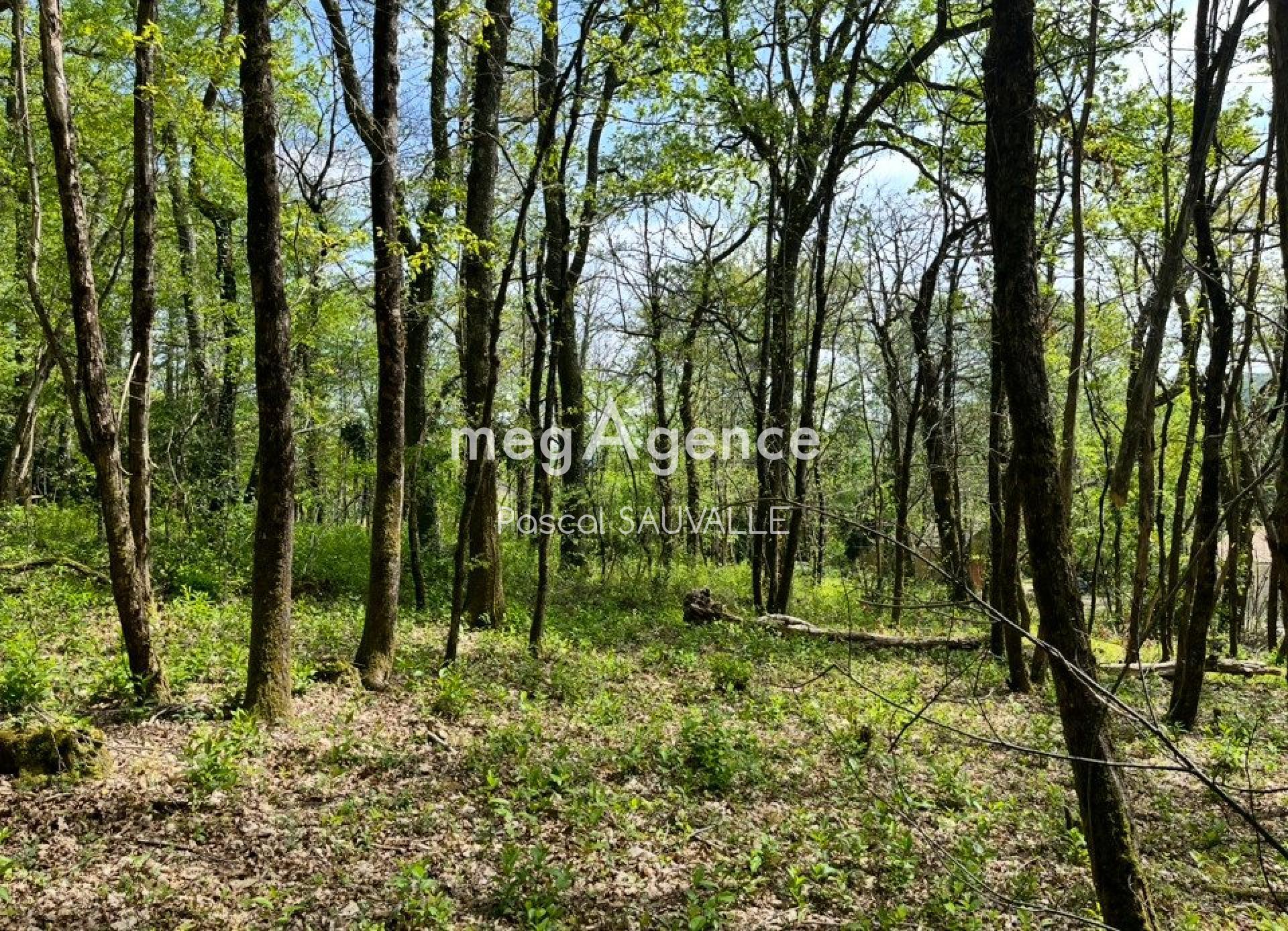 Photographie descriptive du bien