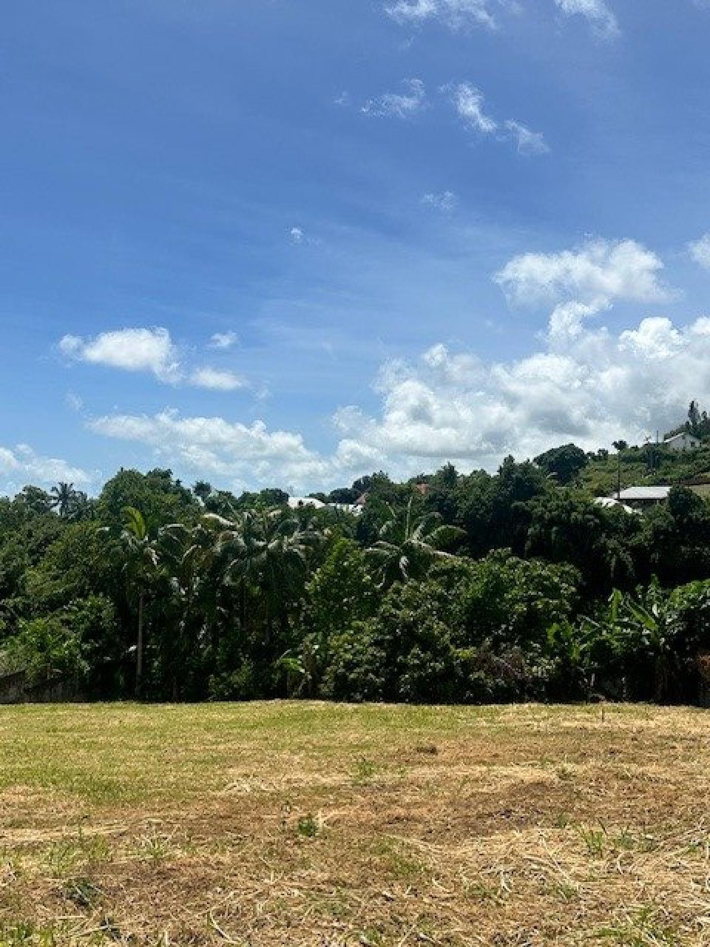 Photographie descriptive du bien