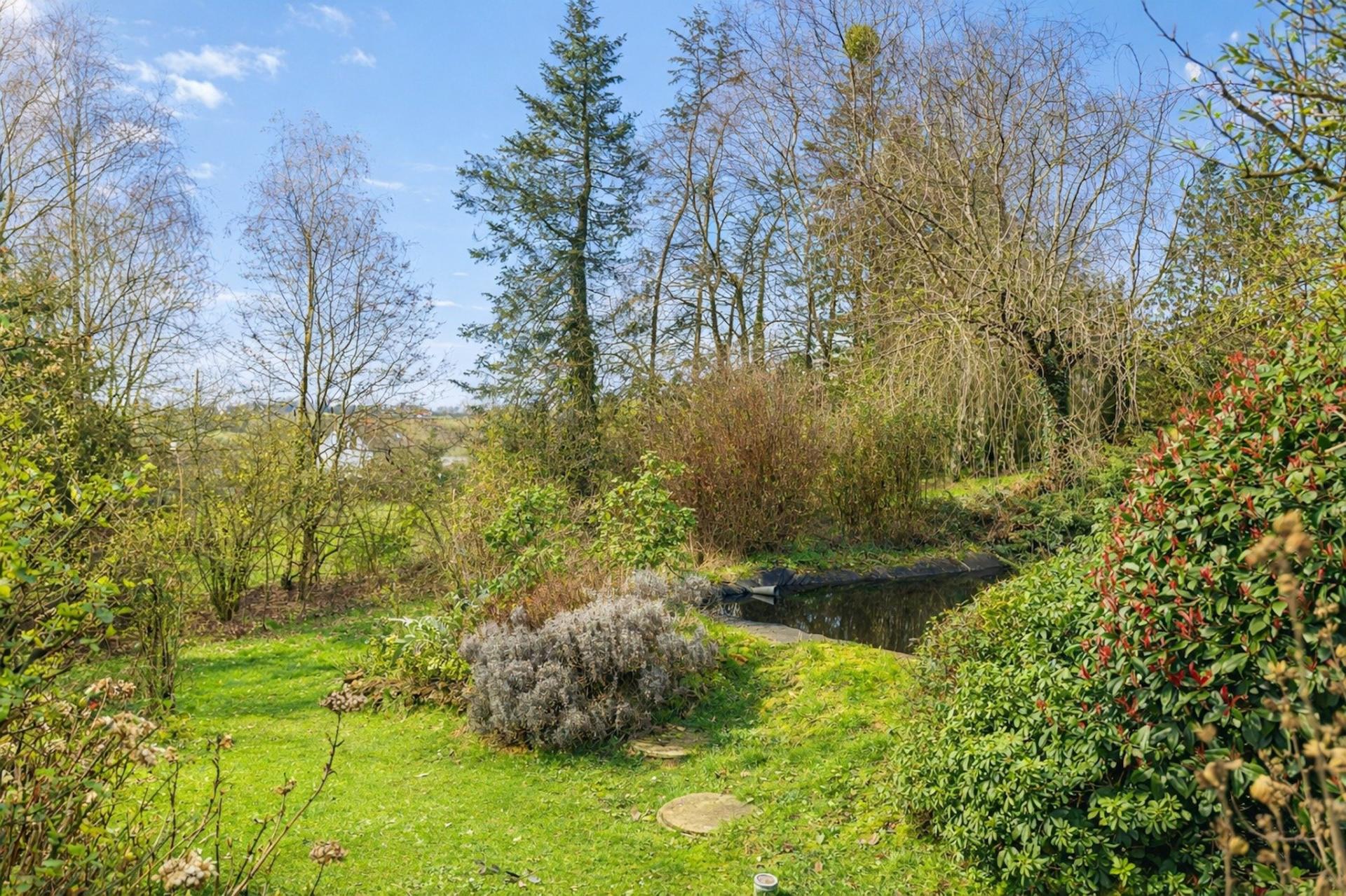 Miniature photo - 17 / 18