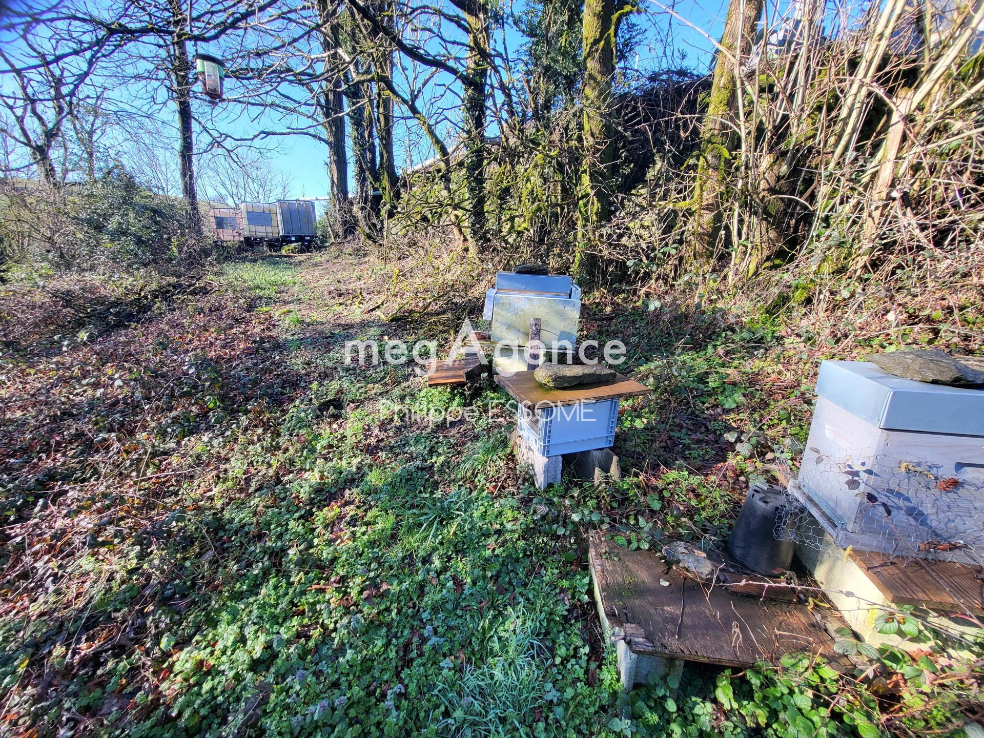 Miniature photo - 16 / 20