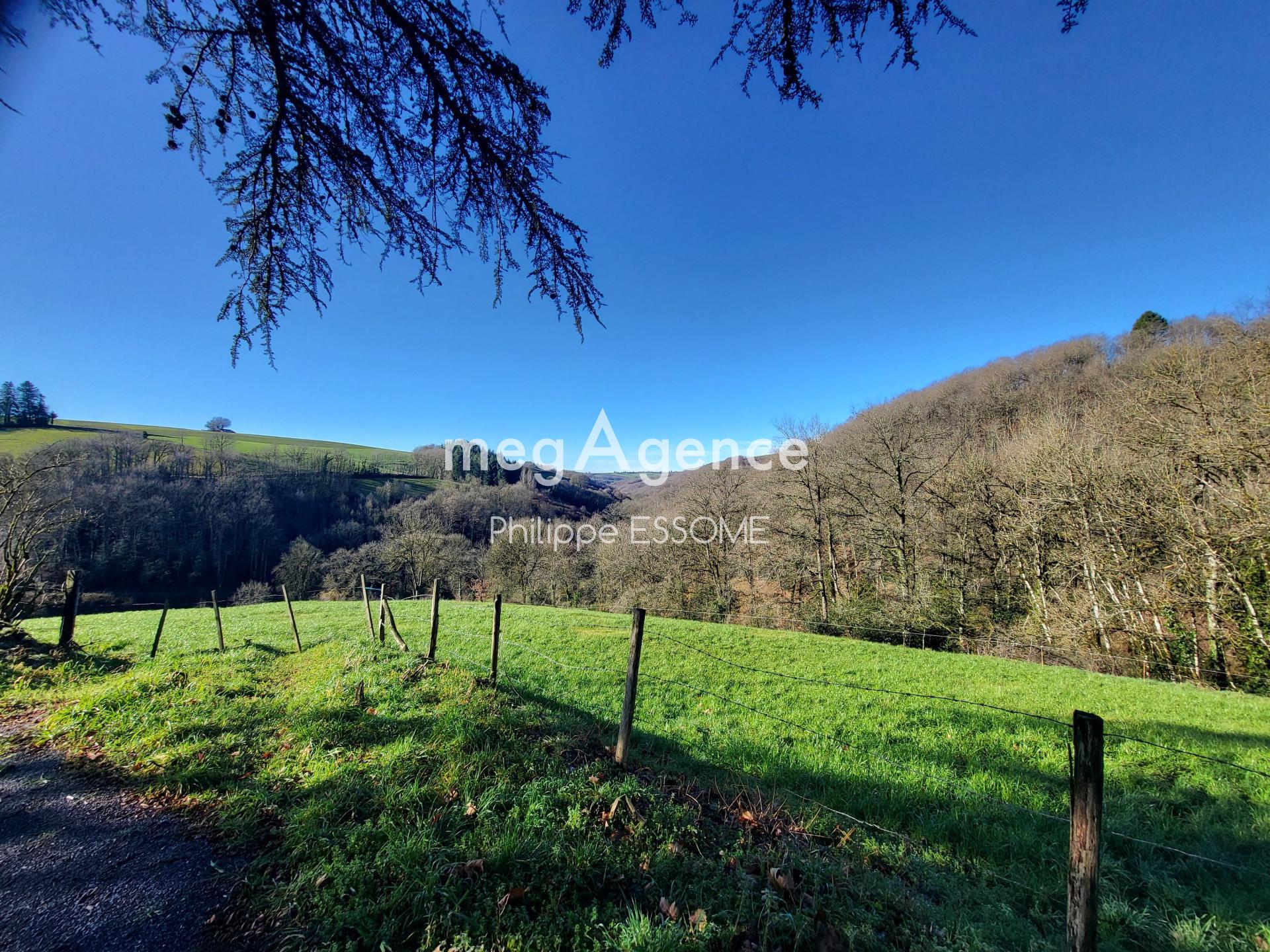 Miniature photo - 17 / 20