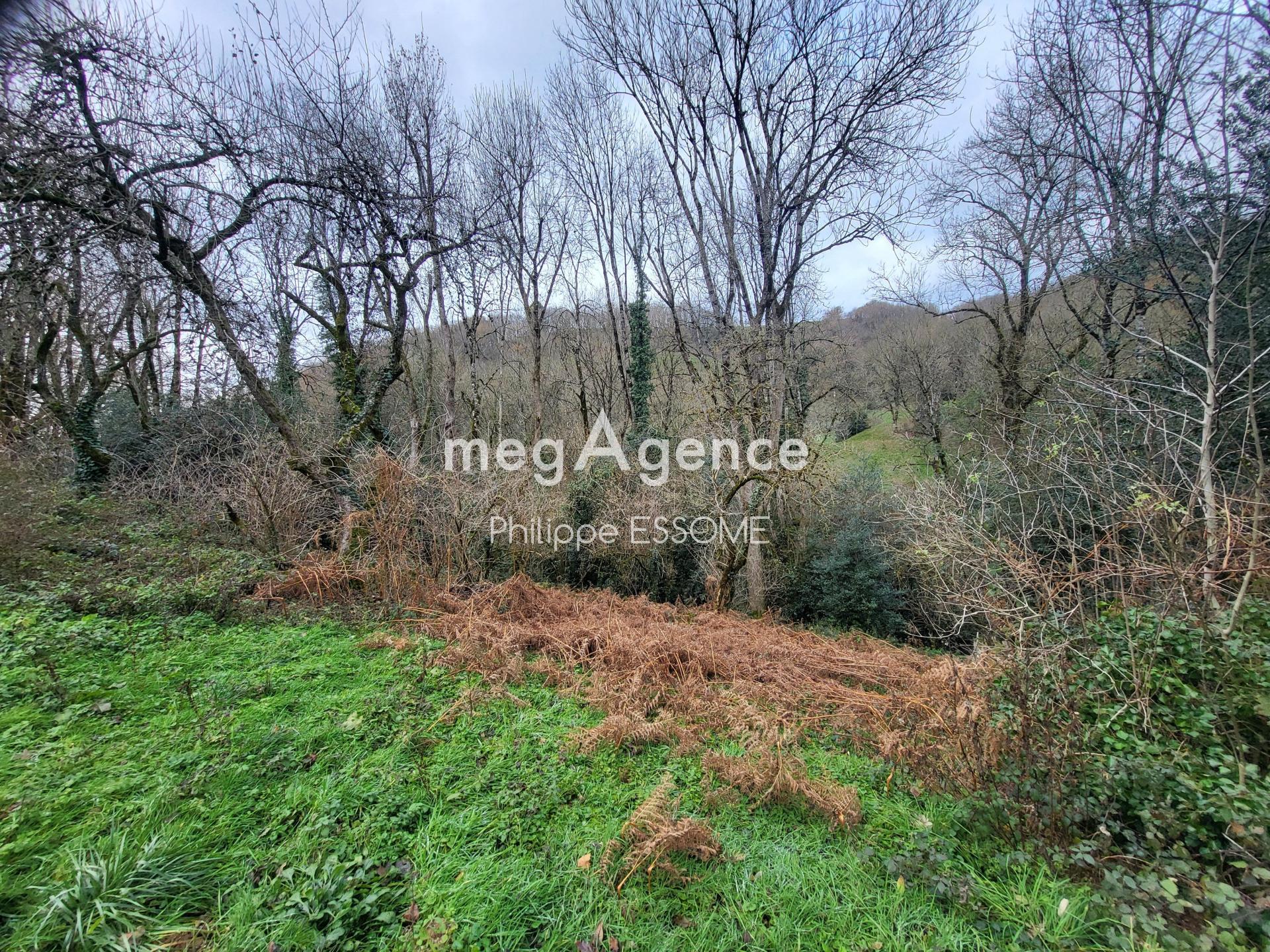 Miniature photo - 19 / 20