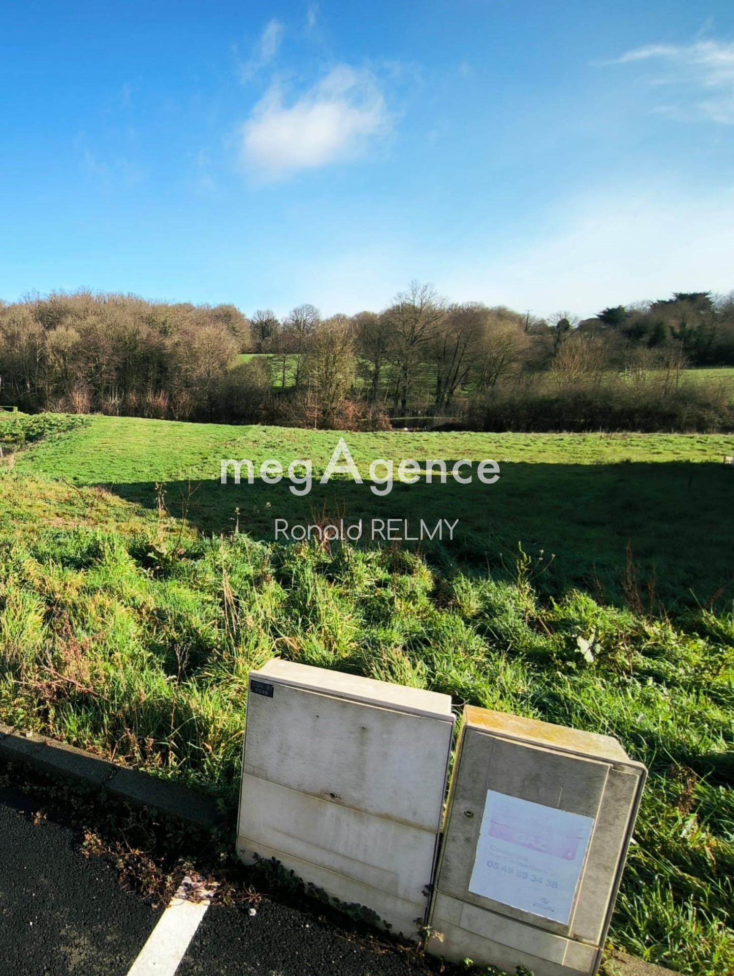 Miniature photo - 5 / 5