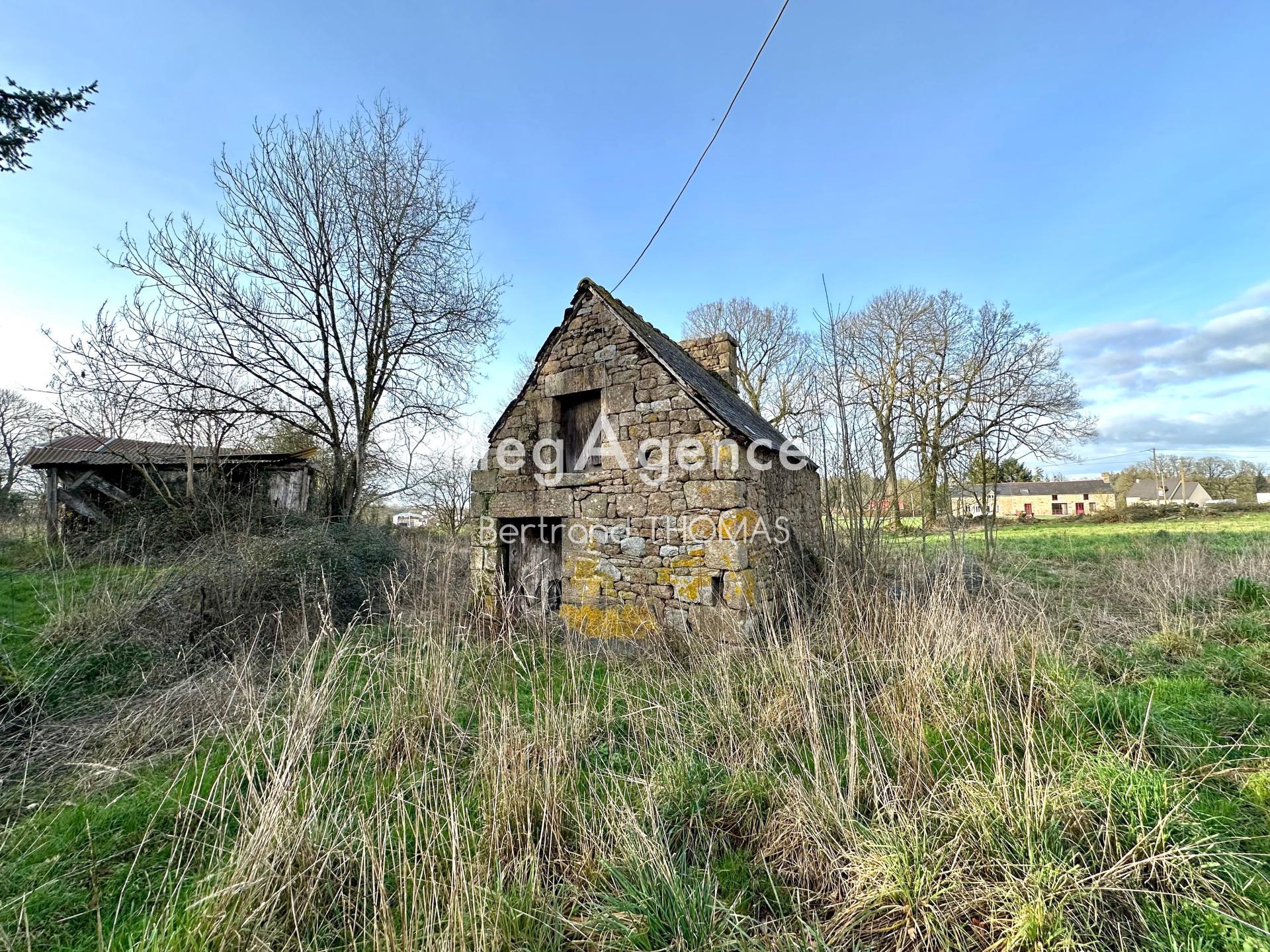 Miniature photo - 5 / 12