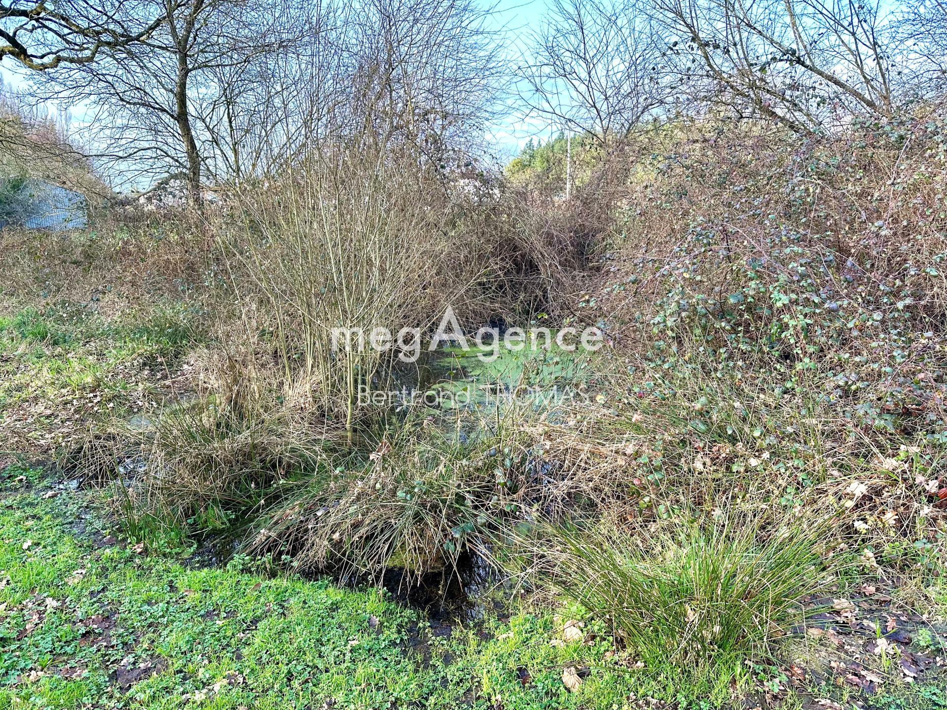 Miniature photo - 7 / 12