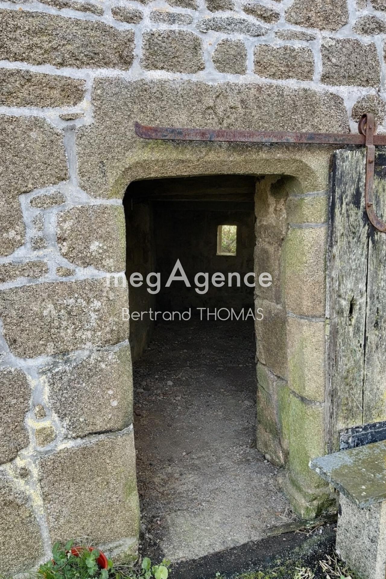 Miniature photo - 4 / 12