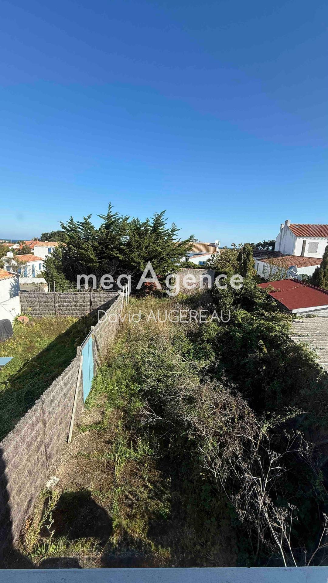 Miniature photo - 4 / 4