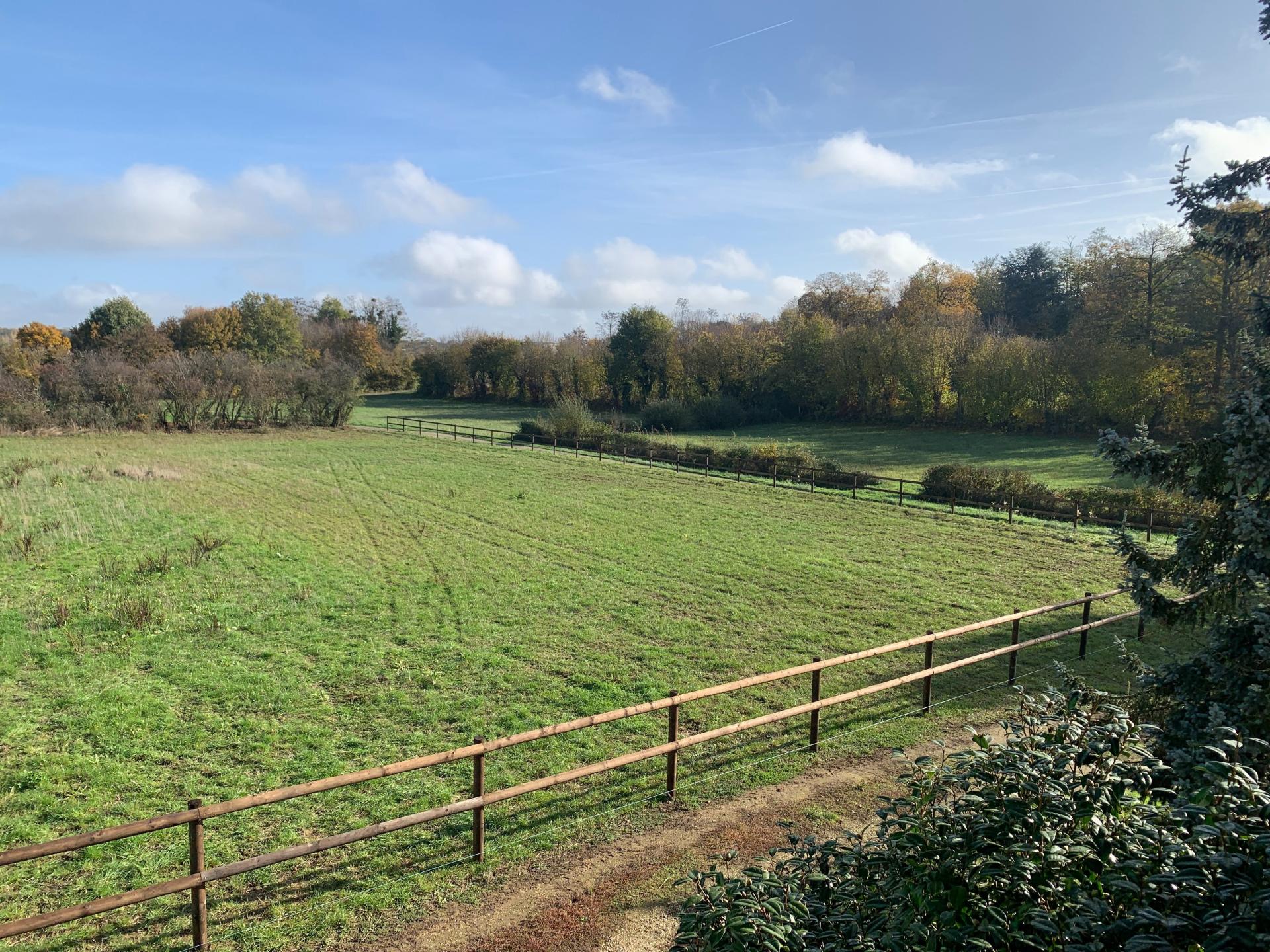 Miniature photo - 13 / 13