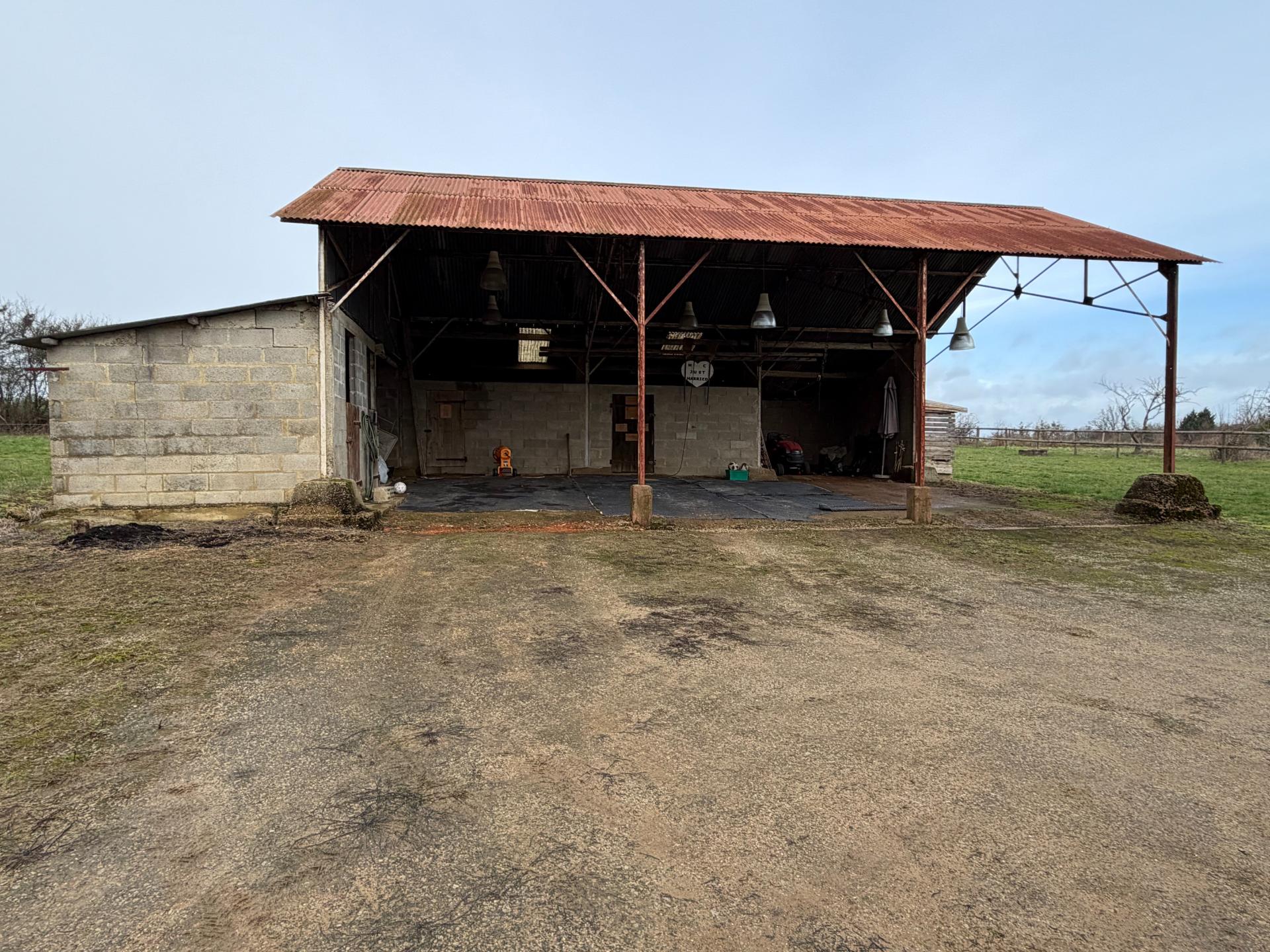 Miniature photo - 12 / 13