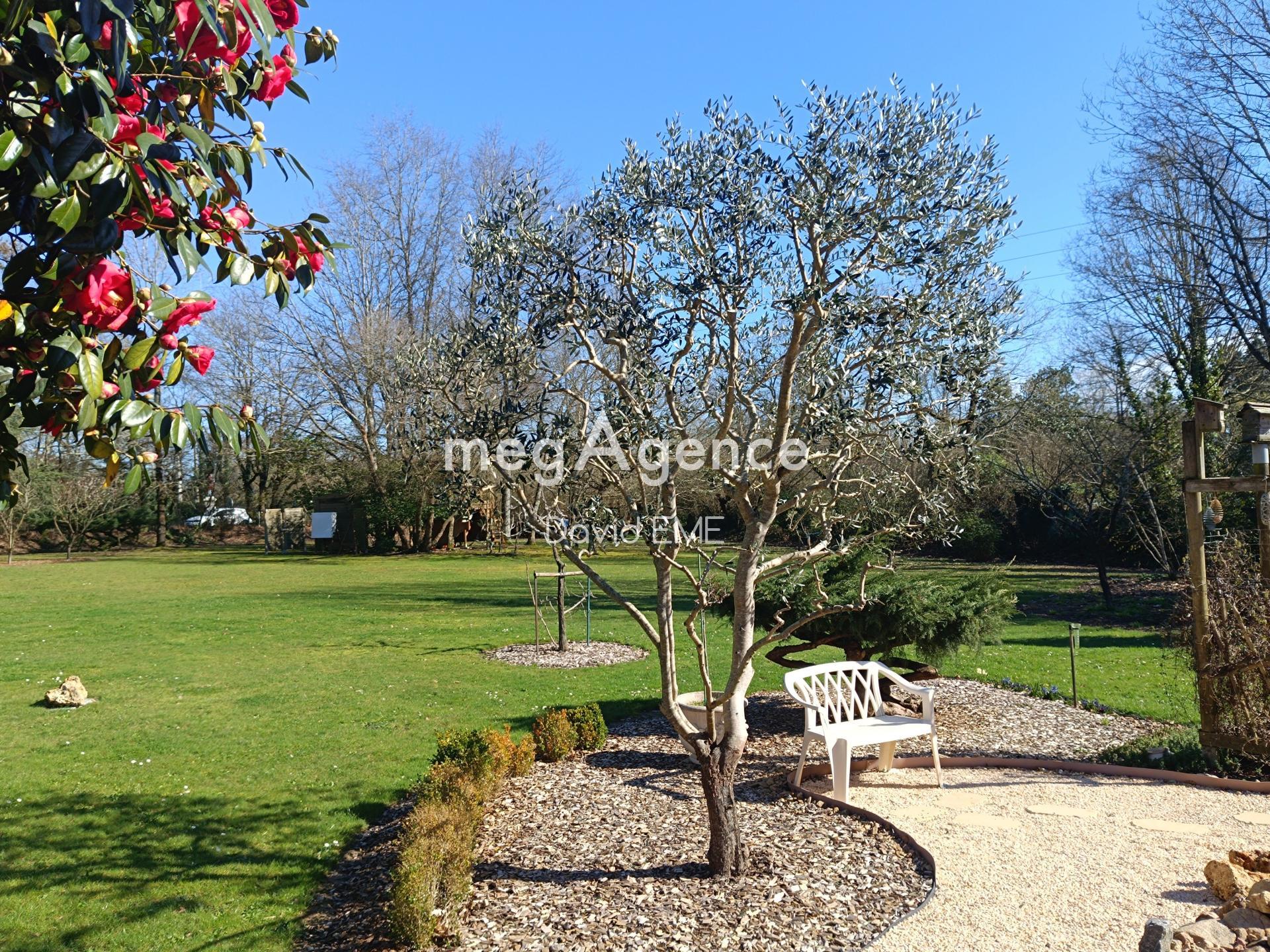 Miniature photo - 17 / 17