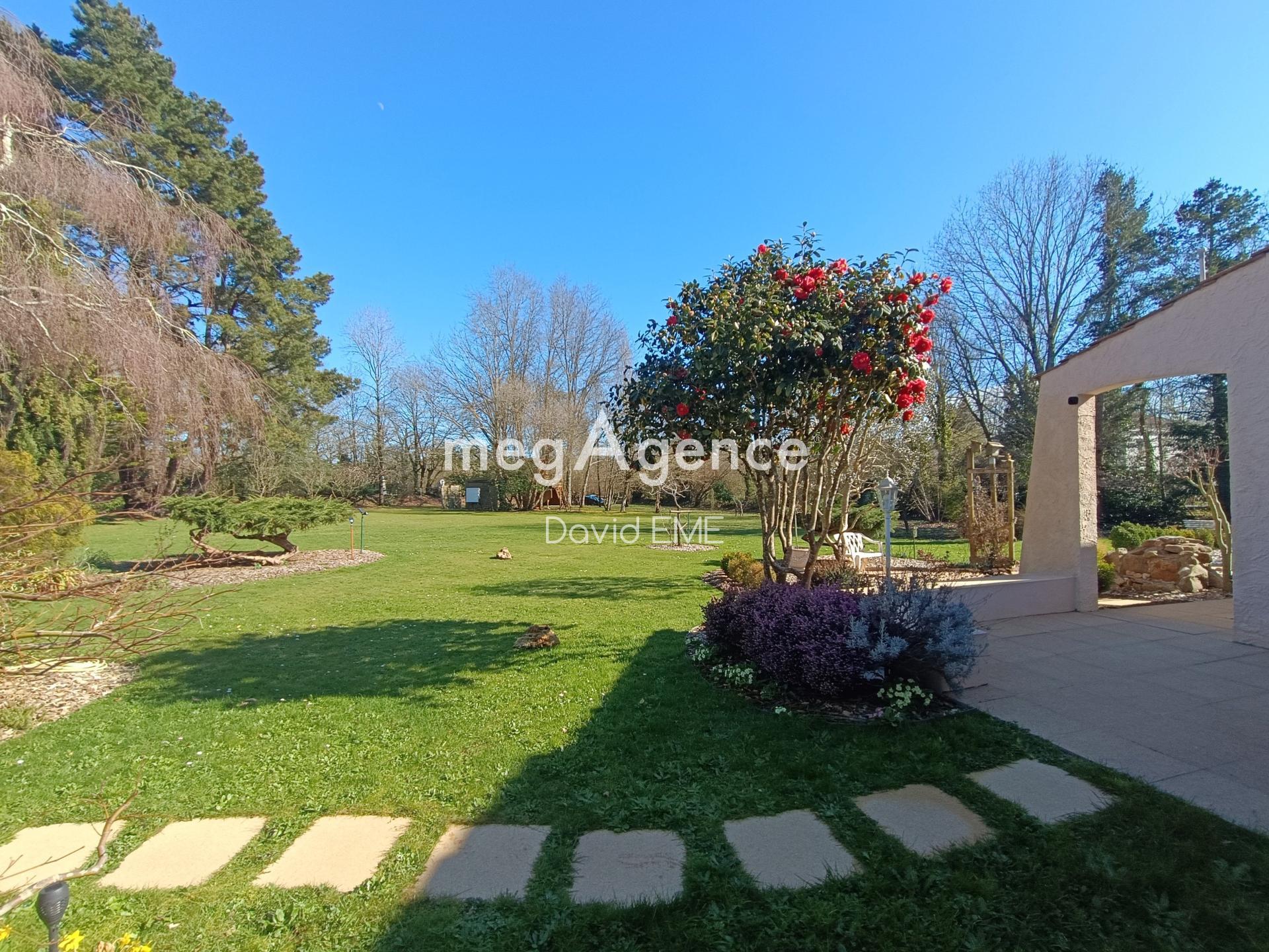 Miniature photo - 4 / 17