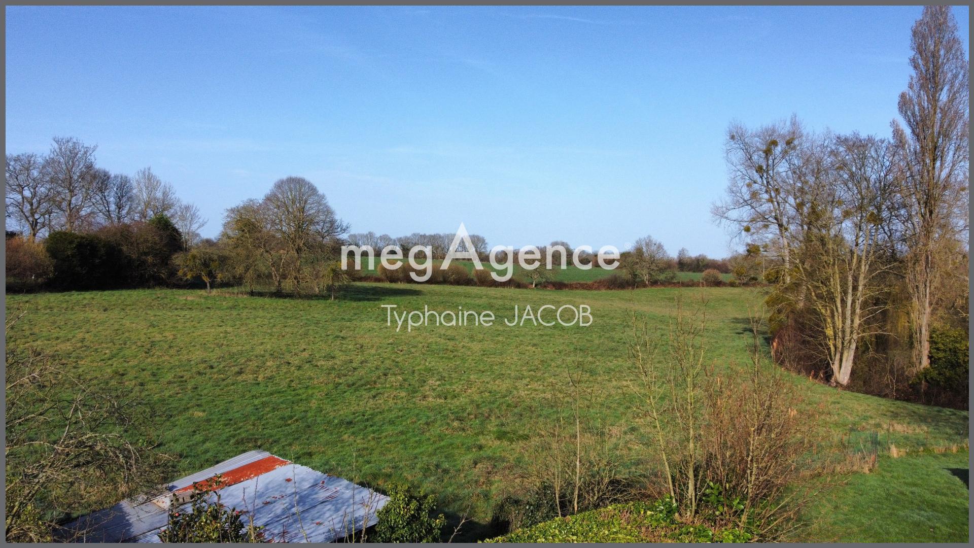 Miniature photo - 11 / 11