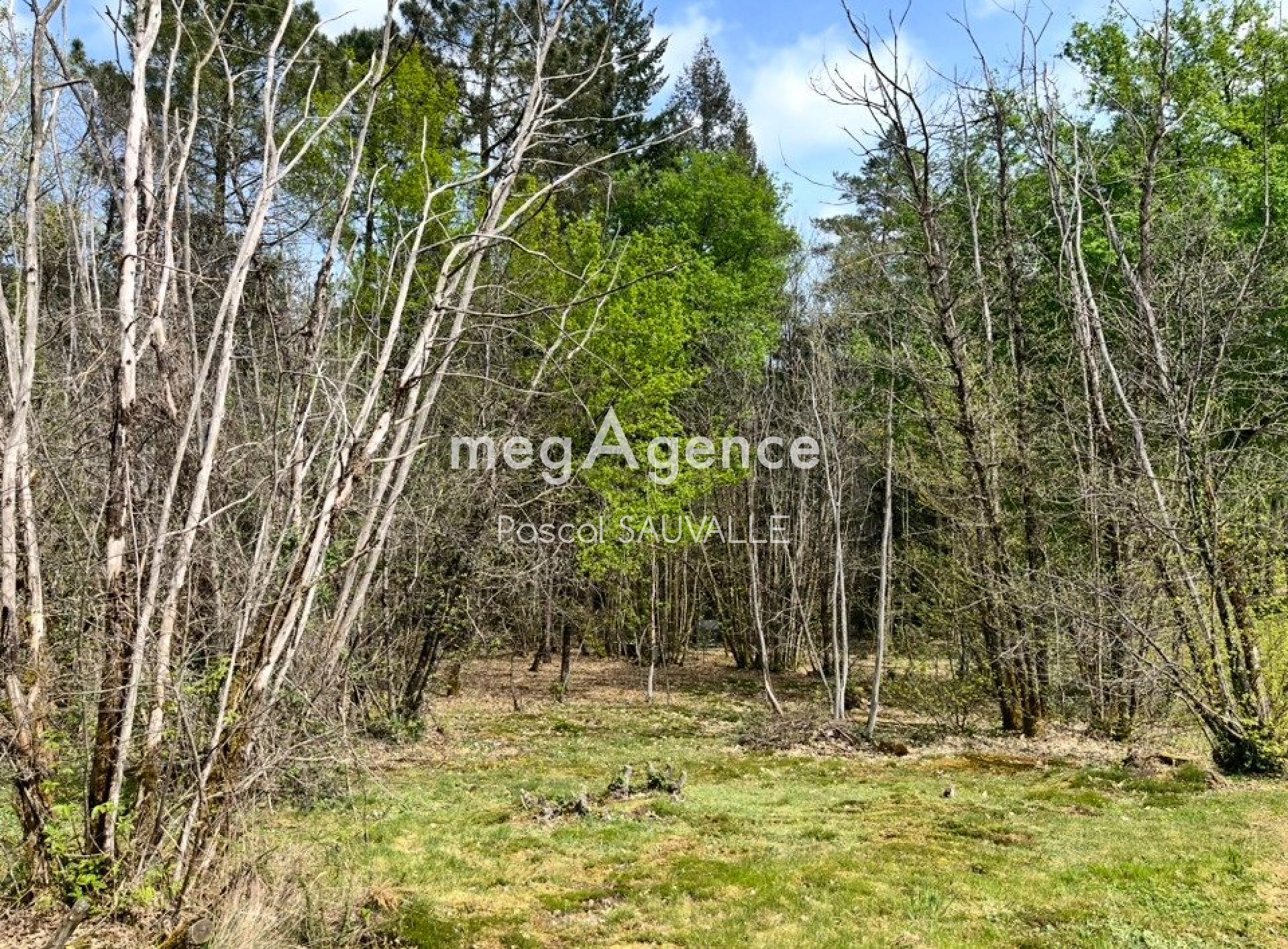 Photographie descriptive du bien