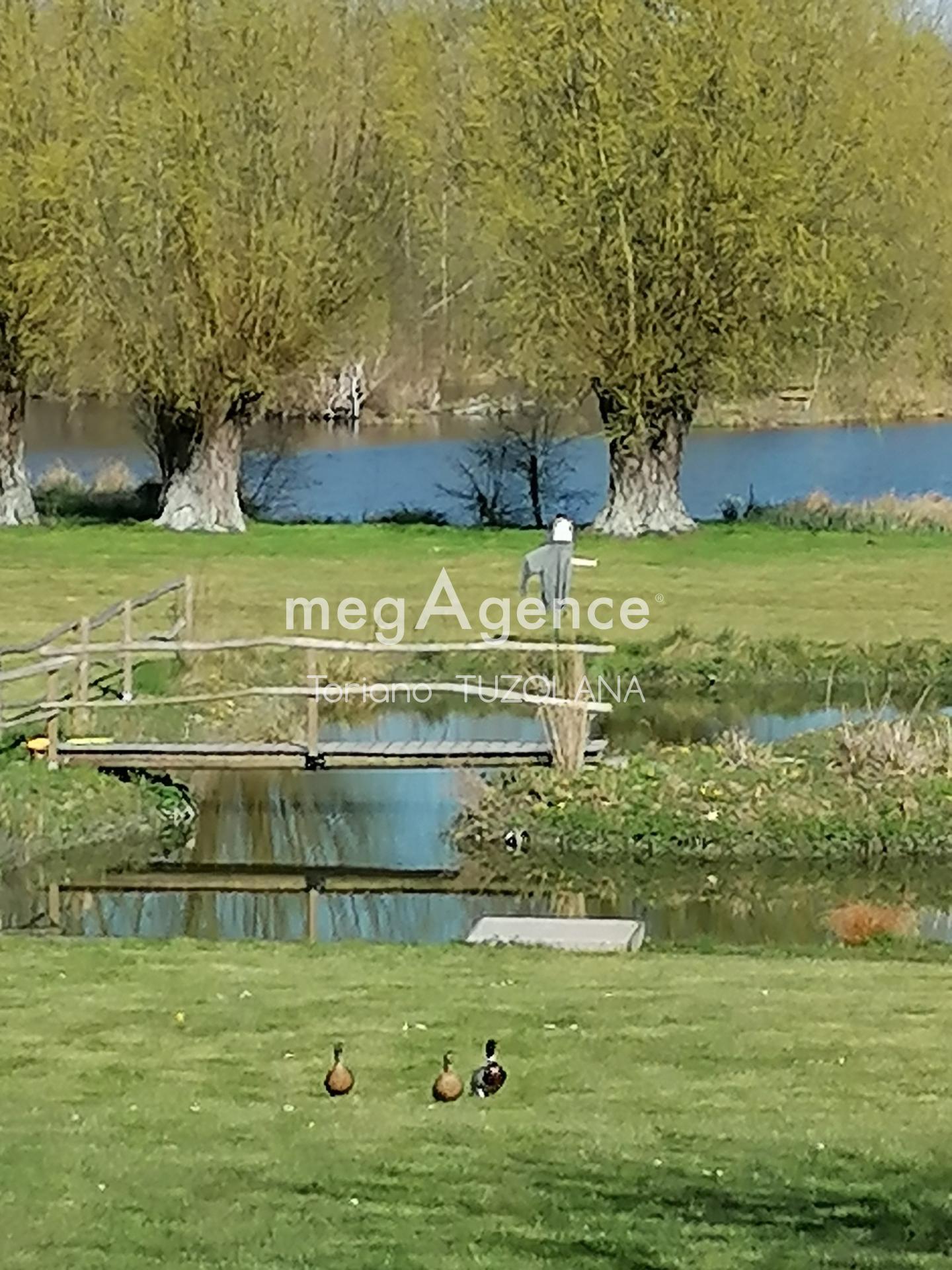 Miniature photo - 7 / 18