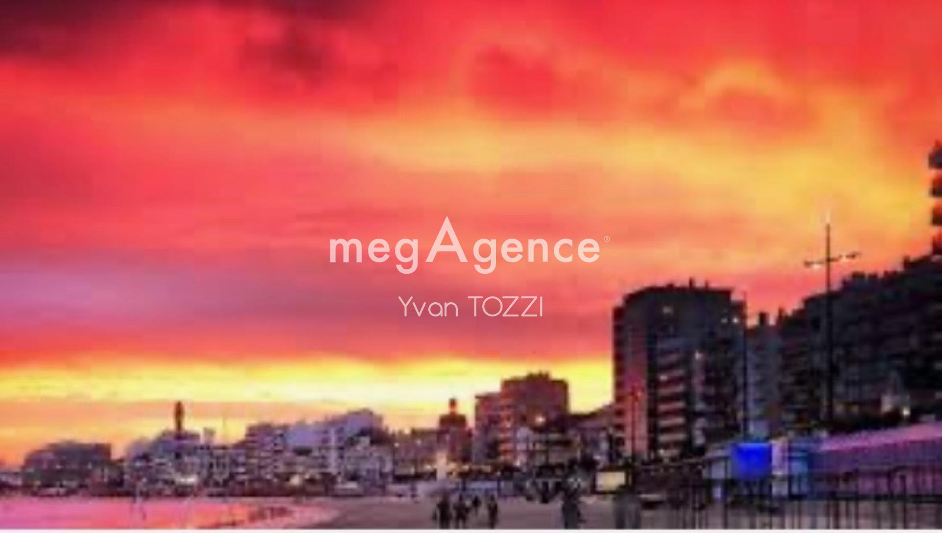 Miniature photo - 2 / 3