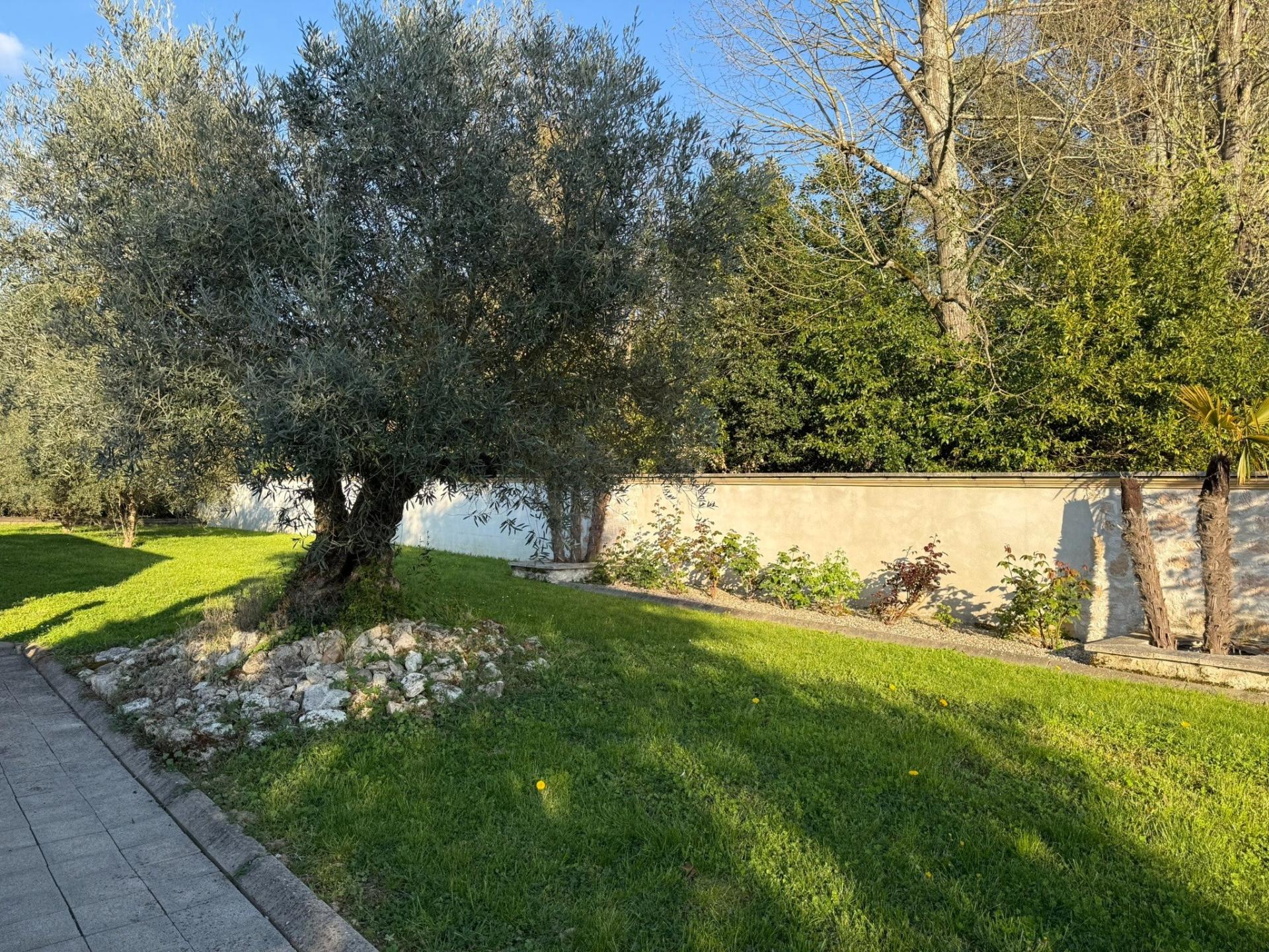 Miniature photo - 3 / 9