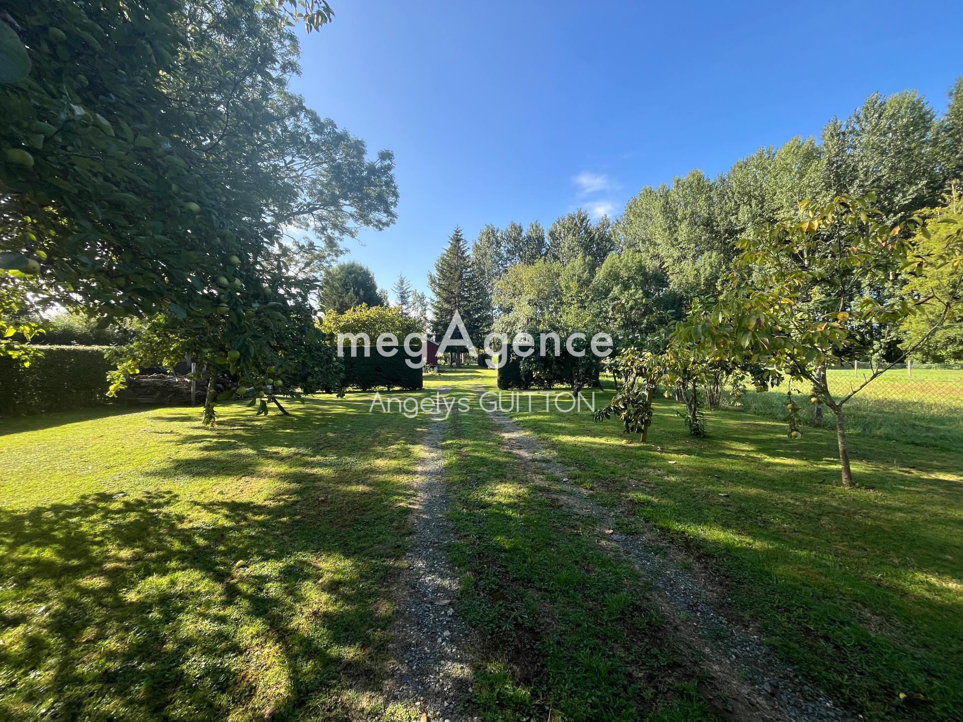 Miniature photo - 4 / 12