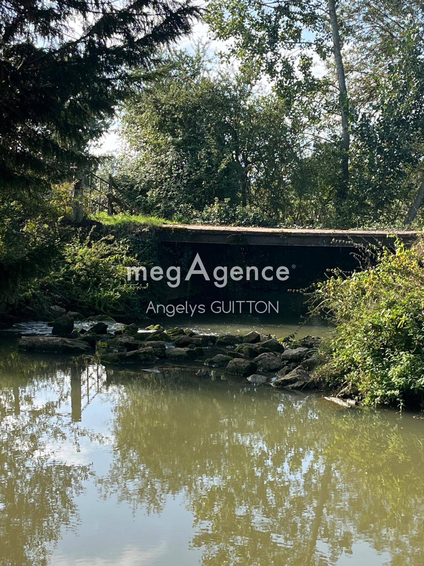 Miniature photo - 6 / 12