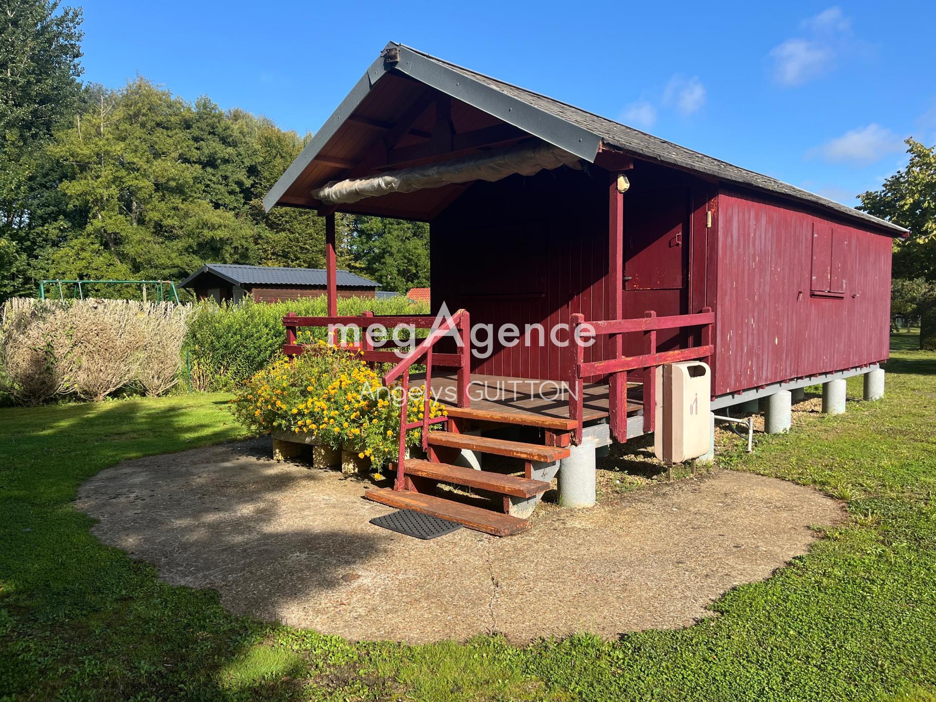 Miniature photo - 8 / 12