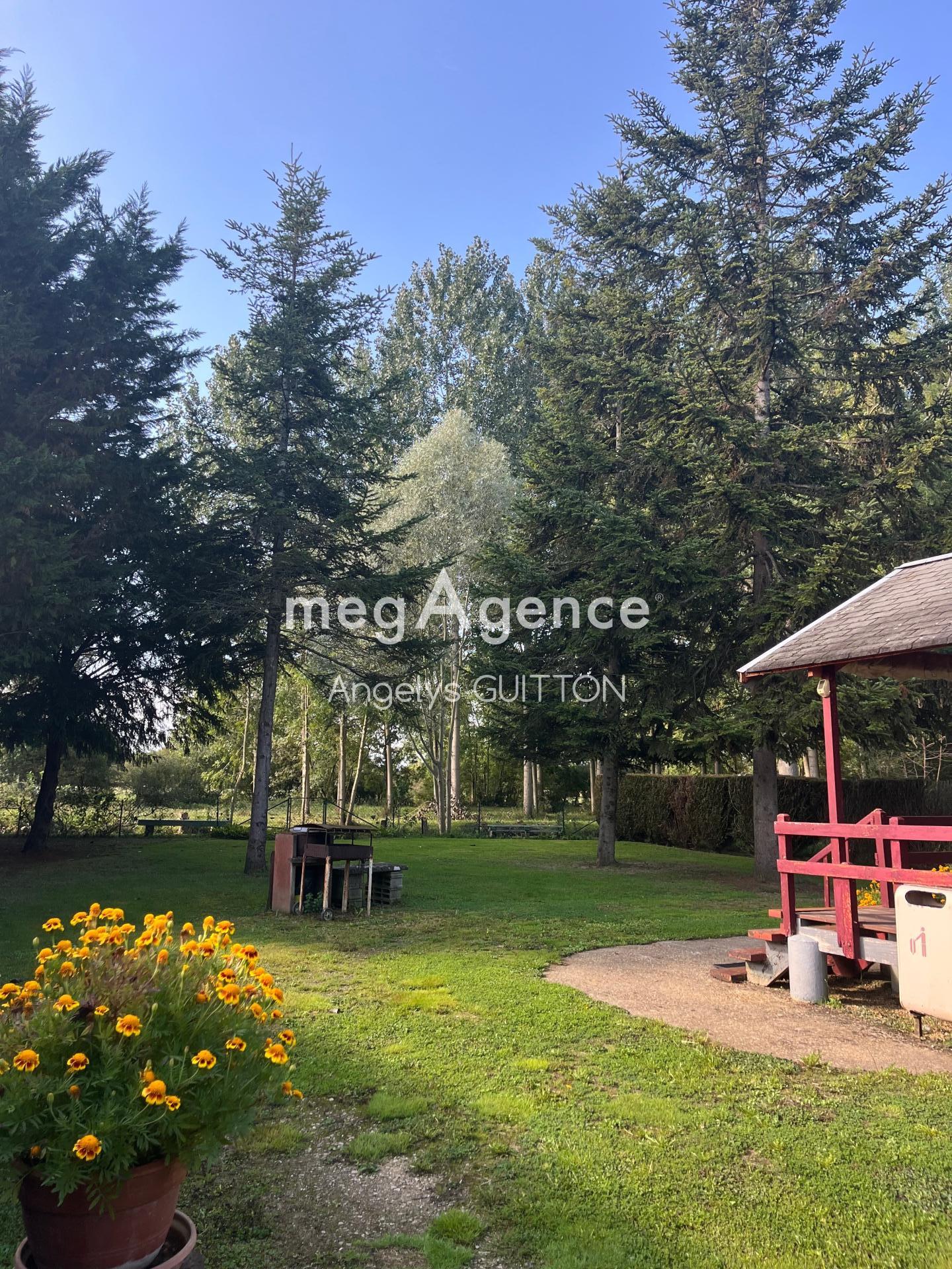 Miniature photo - 2 / 12