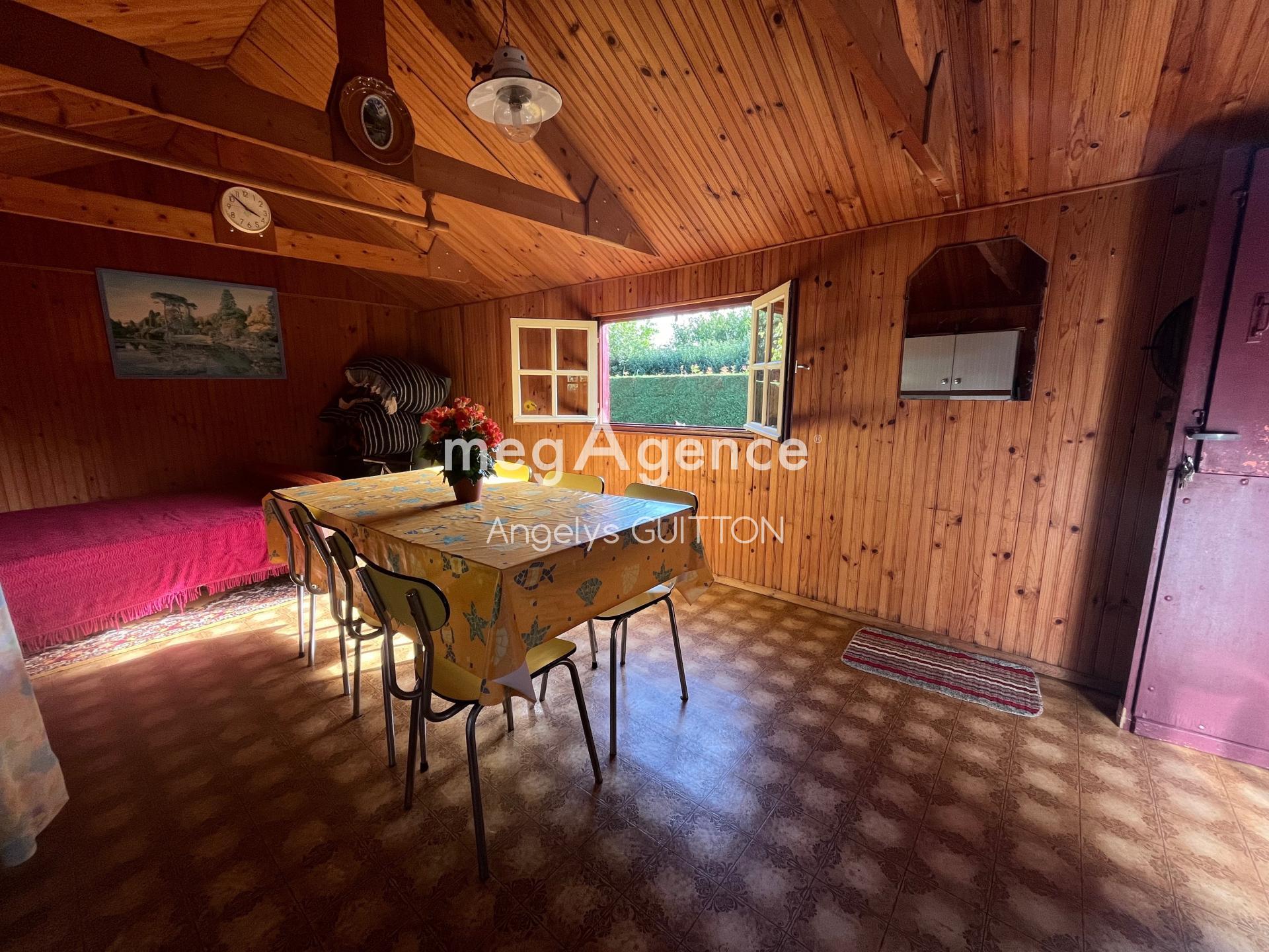 Miniature photo - 11 / 12