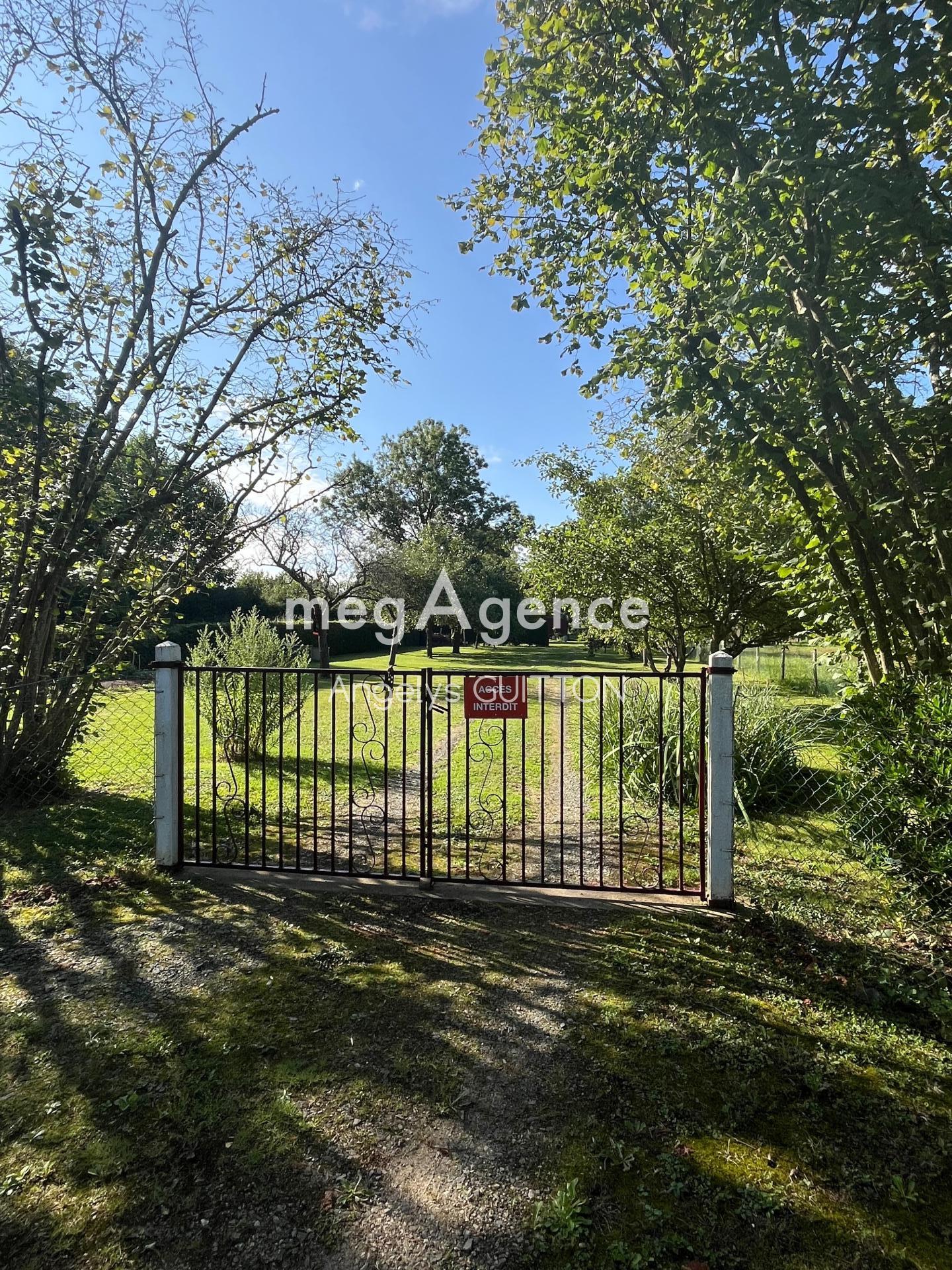 Miniature photo - 3 / 12