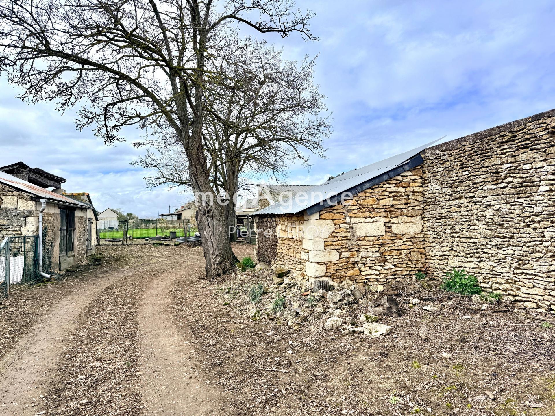 Miniature photo - 6 / 6