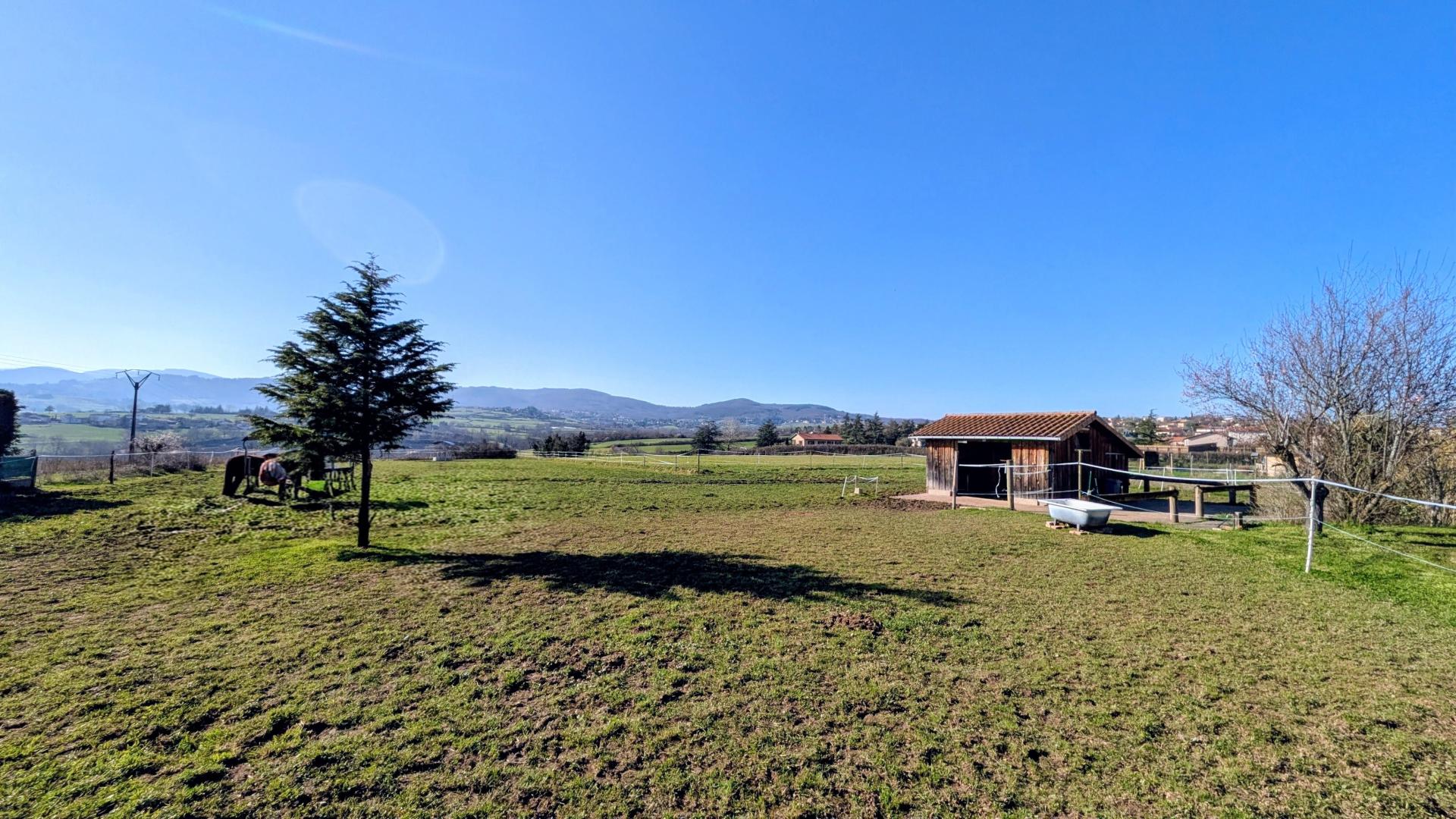 Miniature photo - 20 / 20