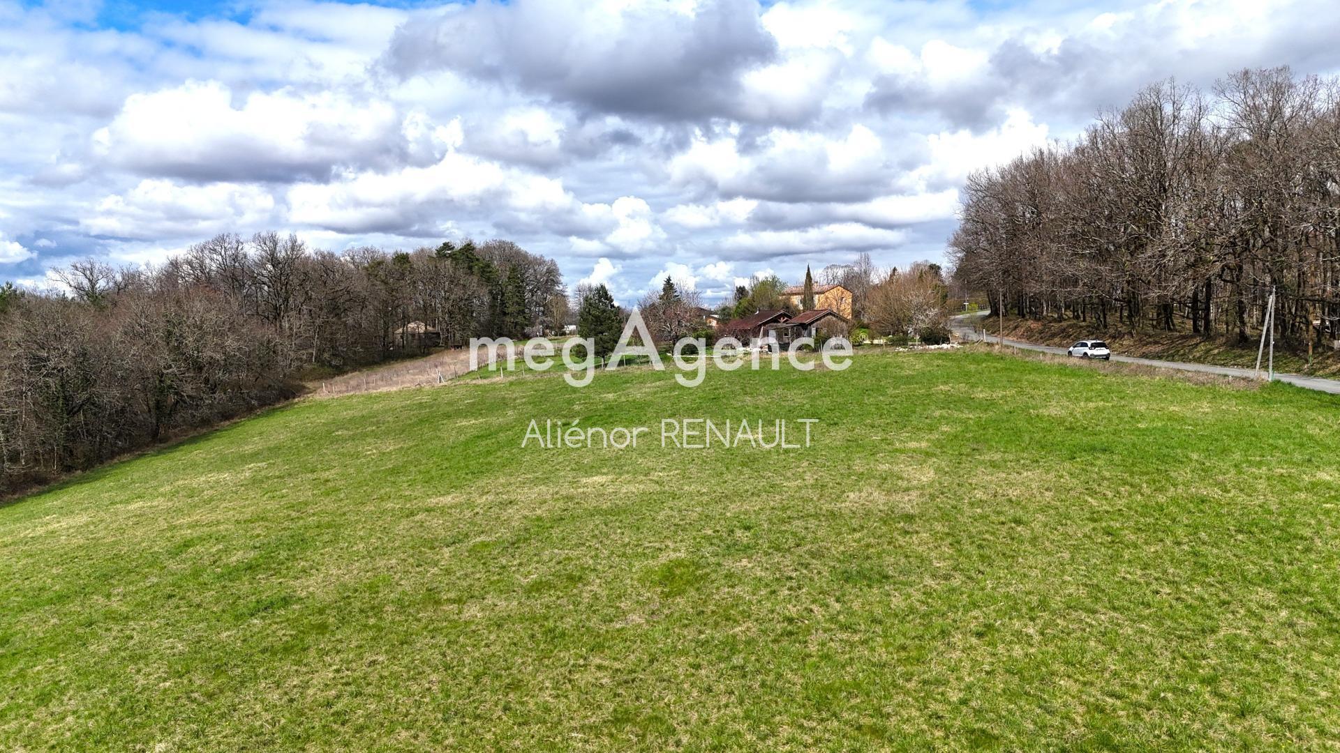 Miniature photo - 3 / 4