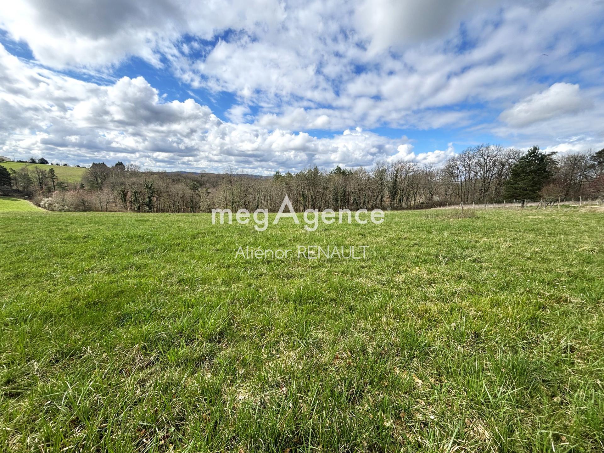 Miniature photo - 4 / 4