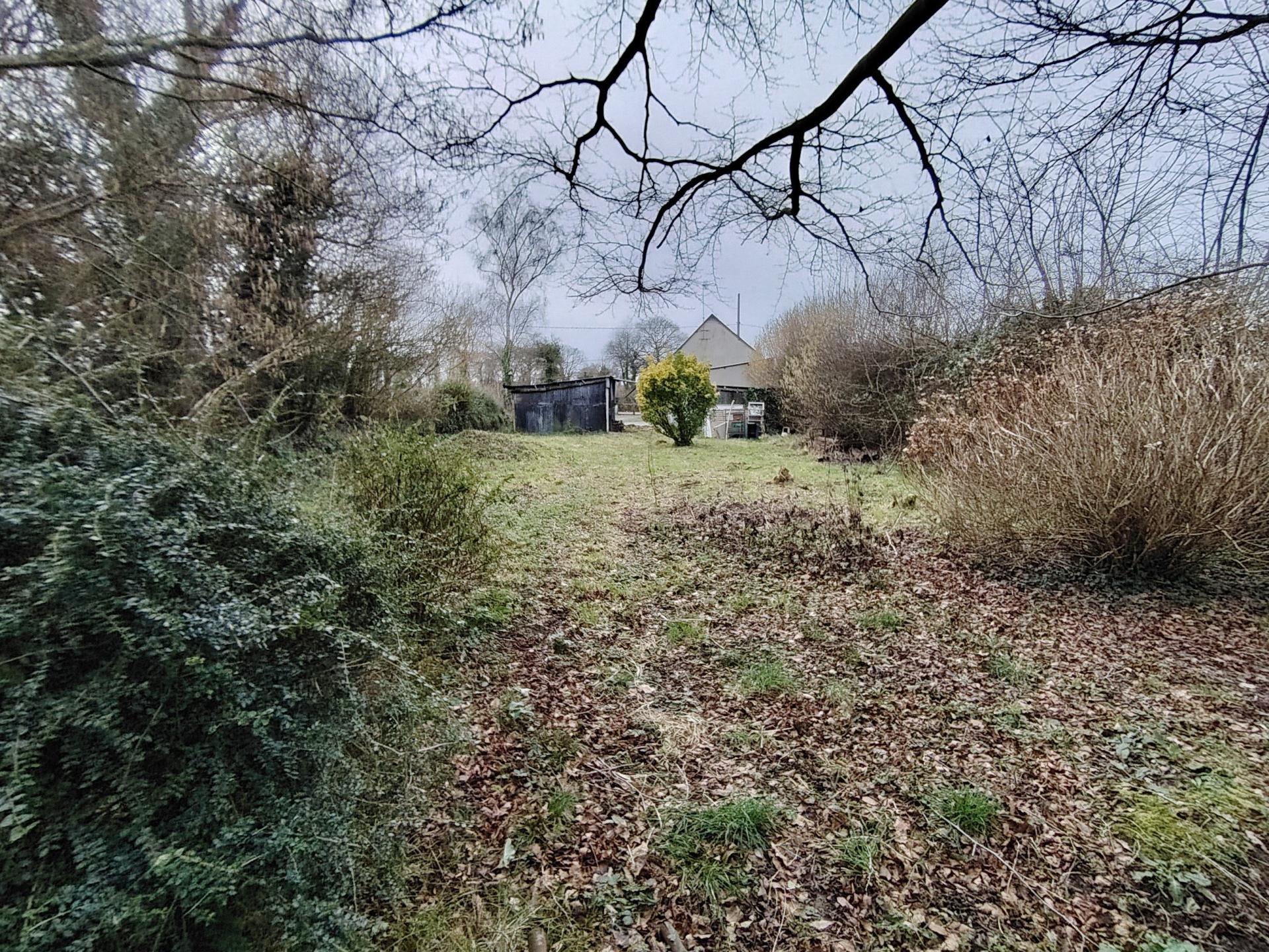 Miniature photo - 4 / 10