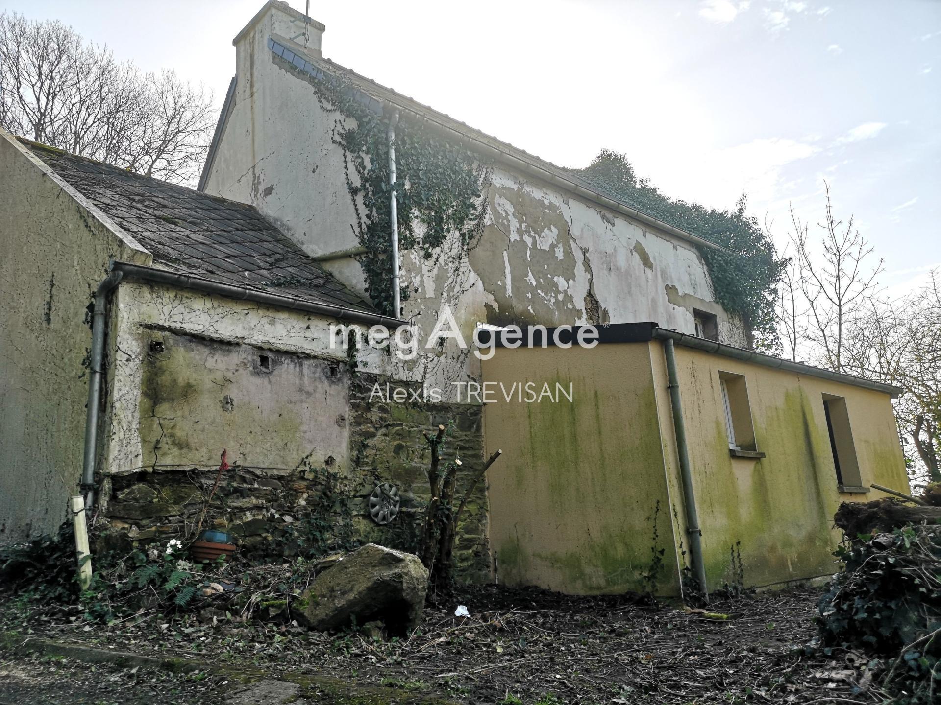 Miniature photo - 4 / 17