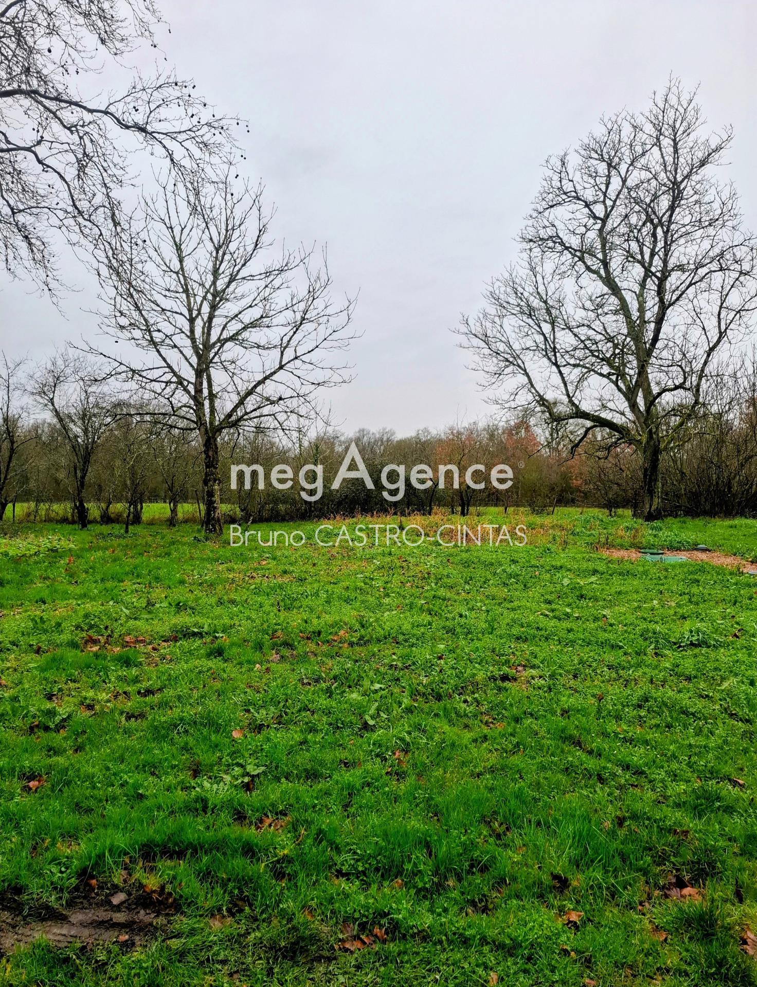 Miniature photo - 8 / 12