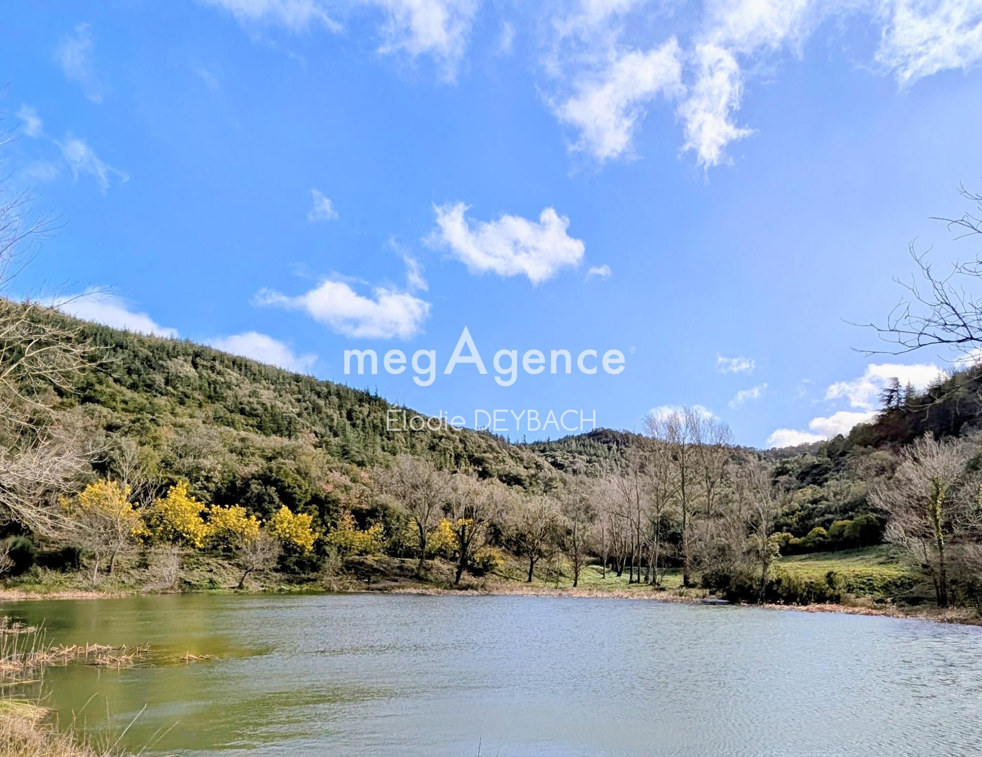 Miniature photo - 7 / 7