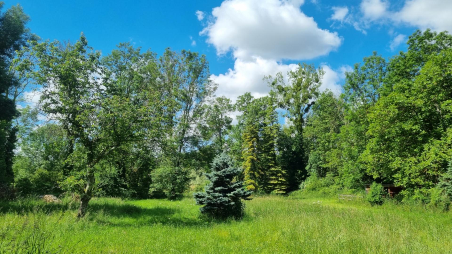 Miniature photo - 5 / 14