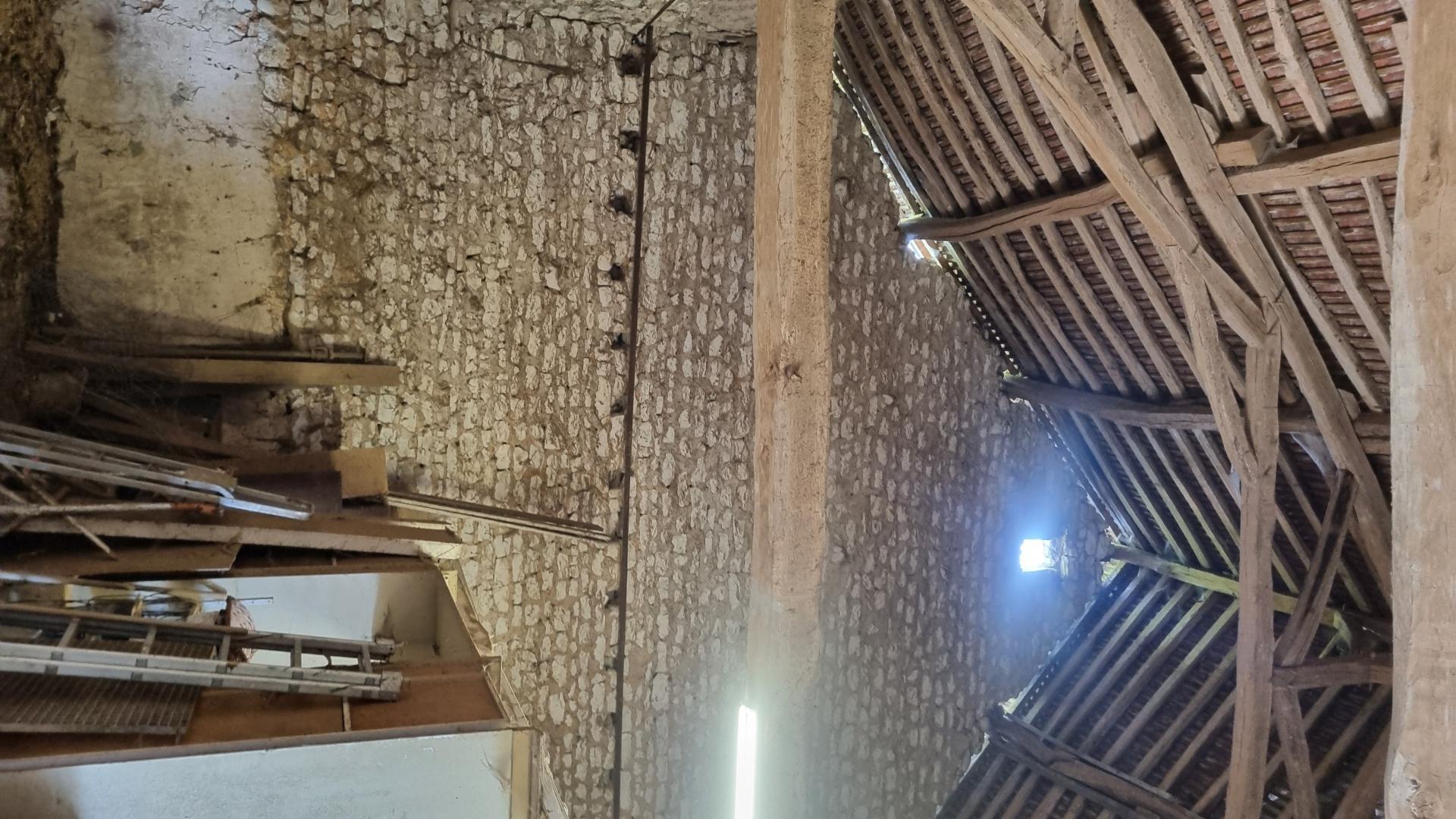 Miniature photo - 4 / 14