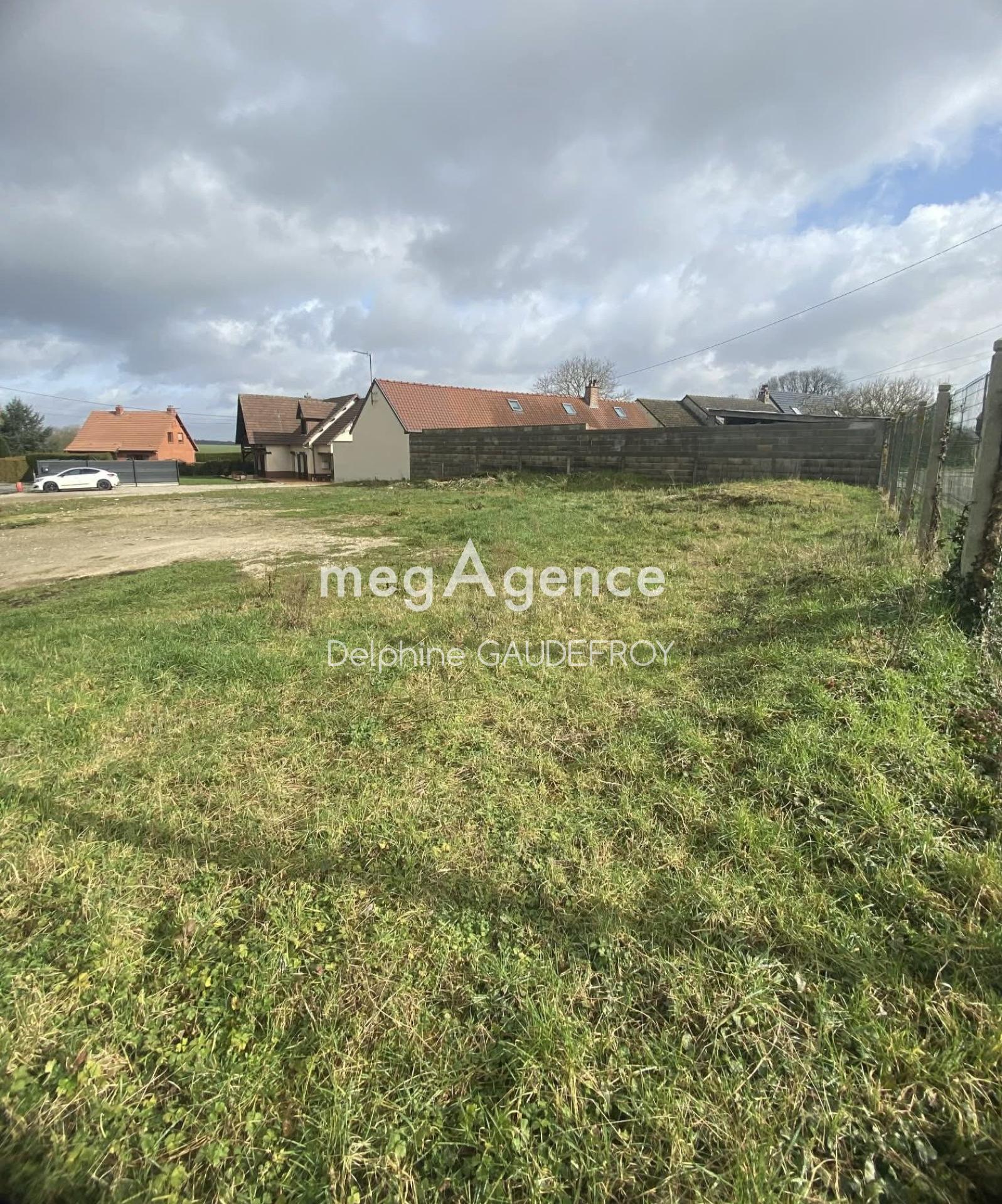 Miniature photo - 2 / 6