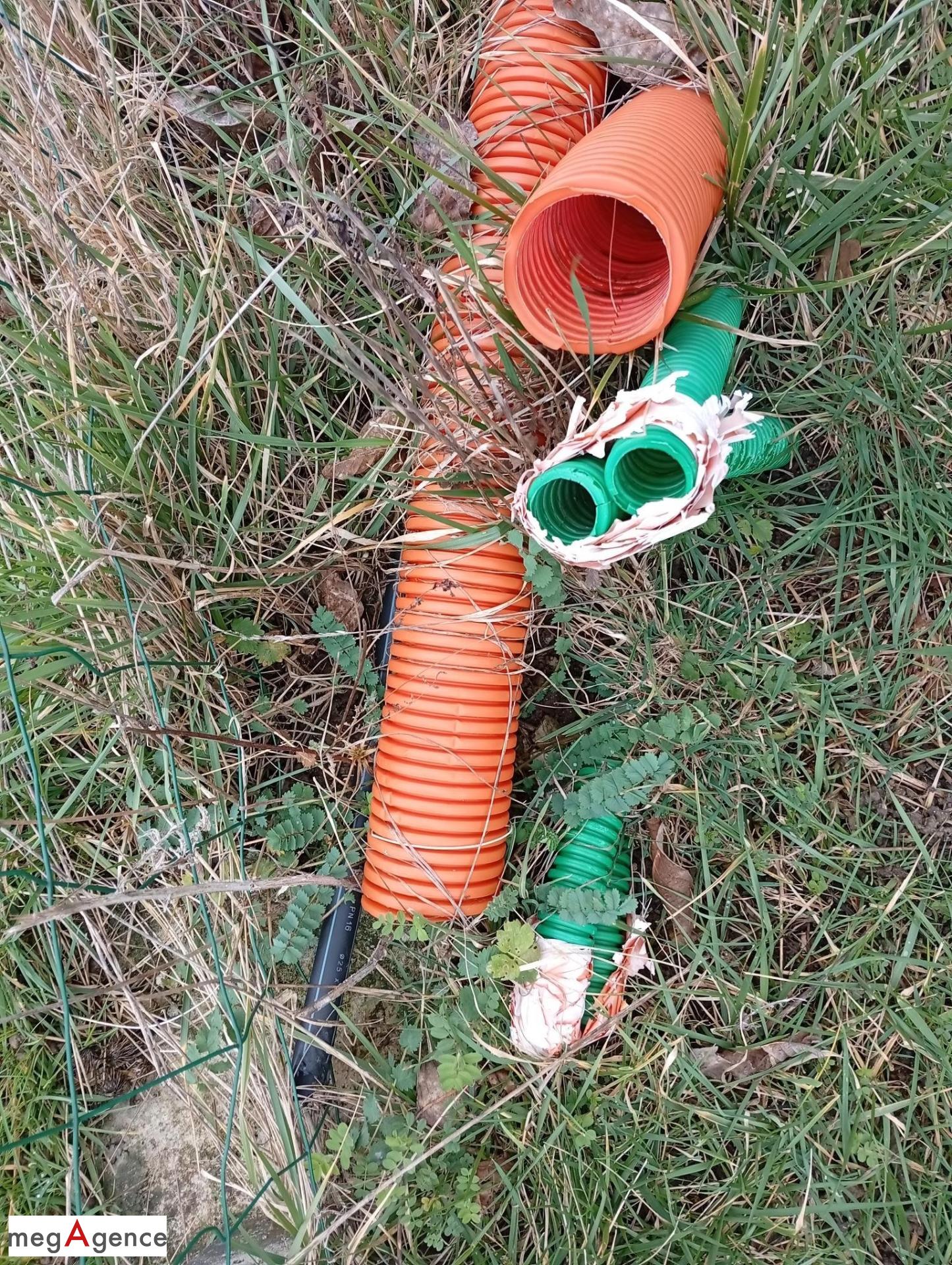 Miniature photo - 3 / 3