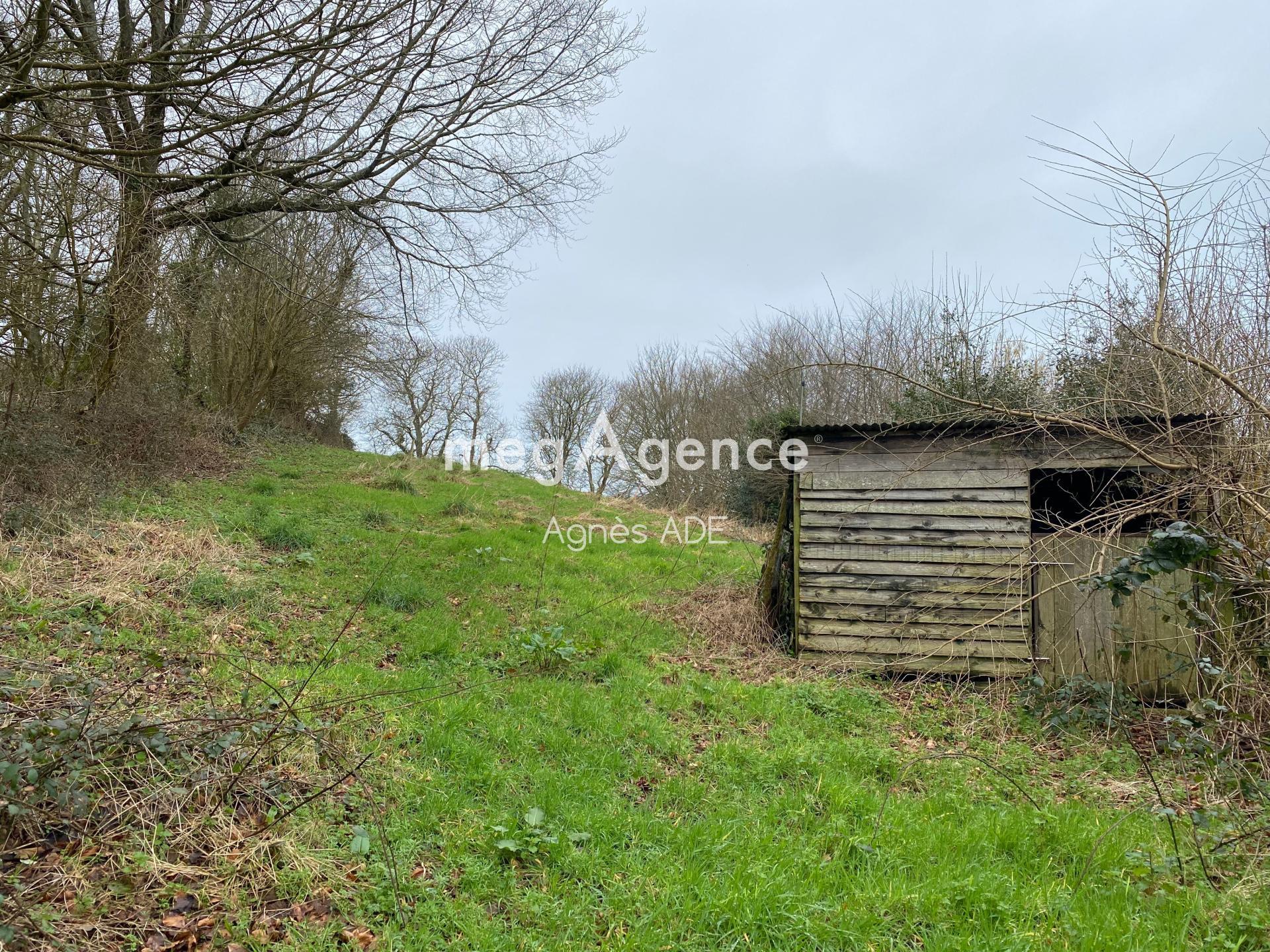 Miniature photo - 20 / 20