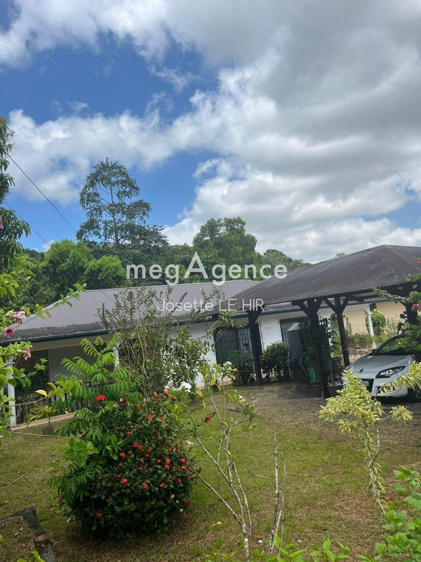 Miniature photo - 3 / 18