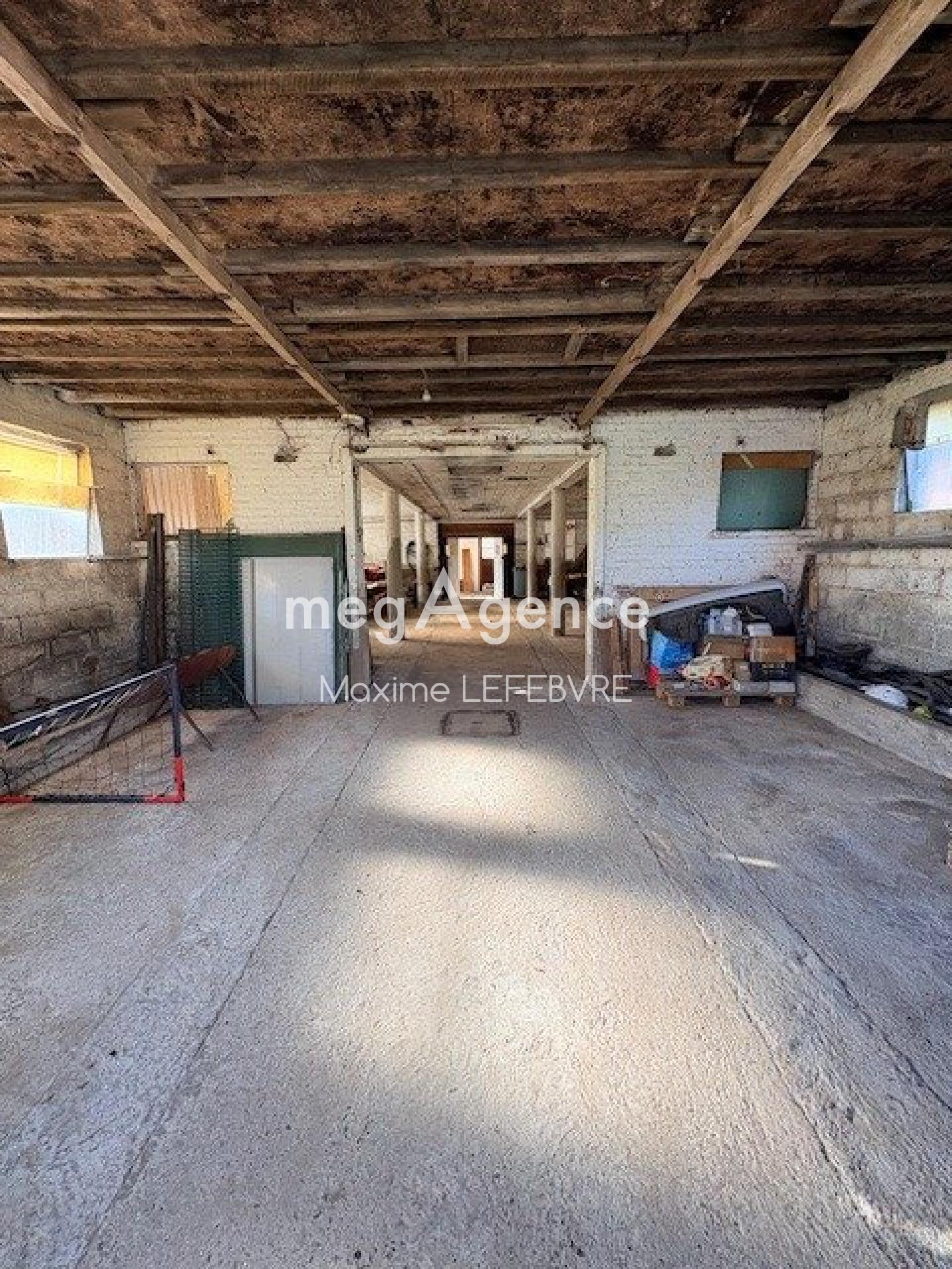 Miniature photo - 3 / 13