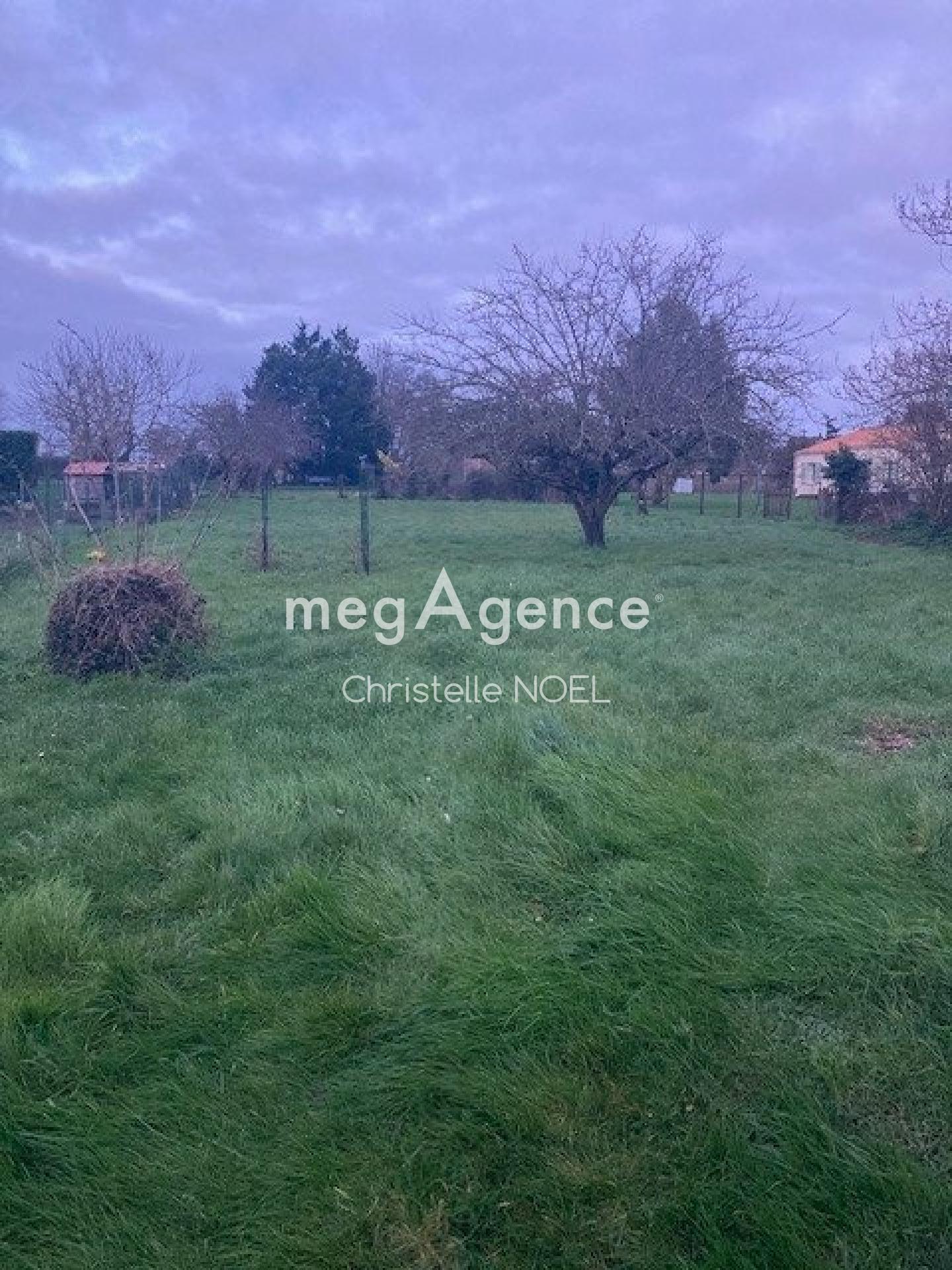 Miniature photo - 13 / 14