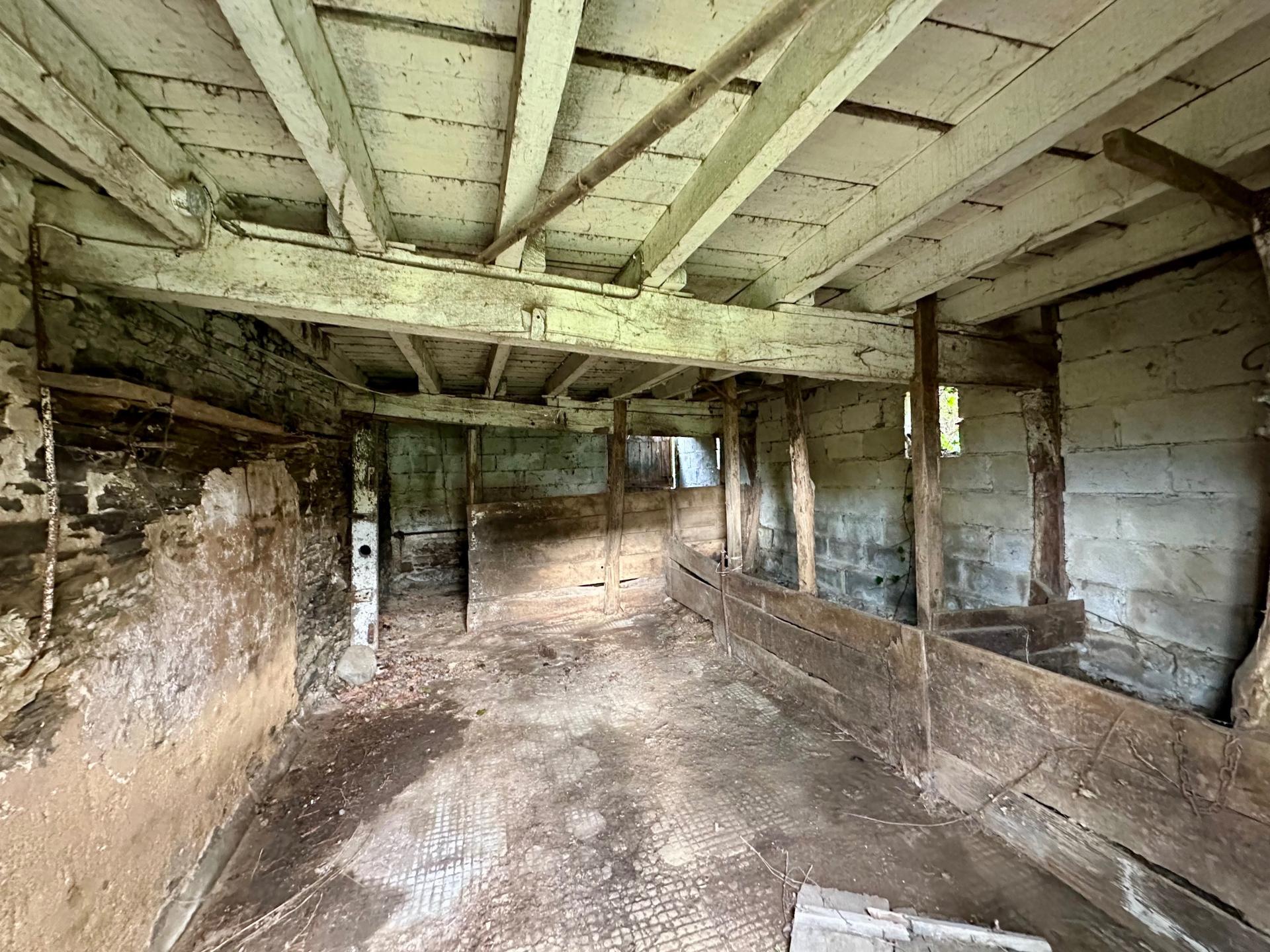 Miniature photo - 14 / 15