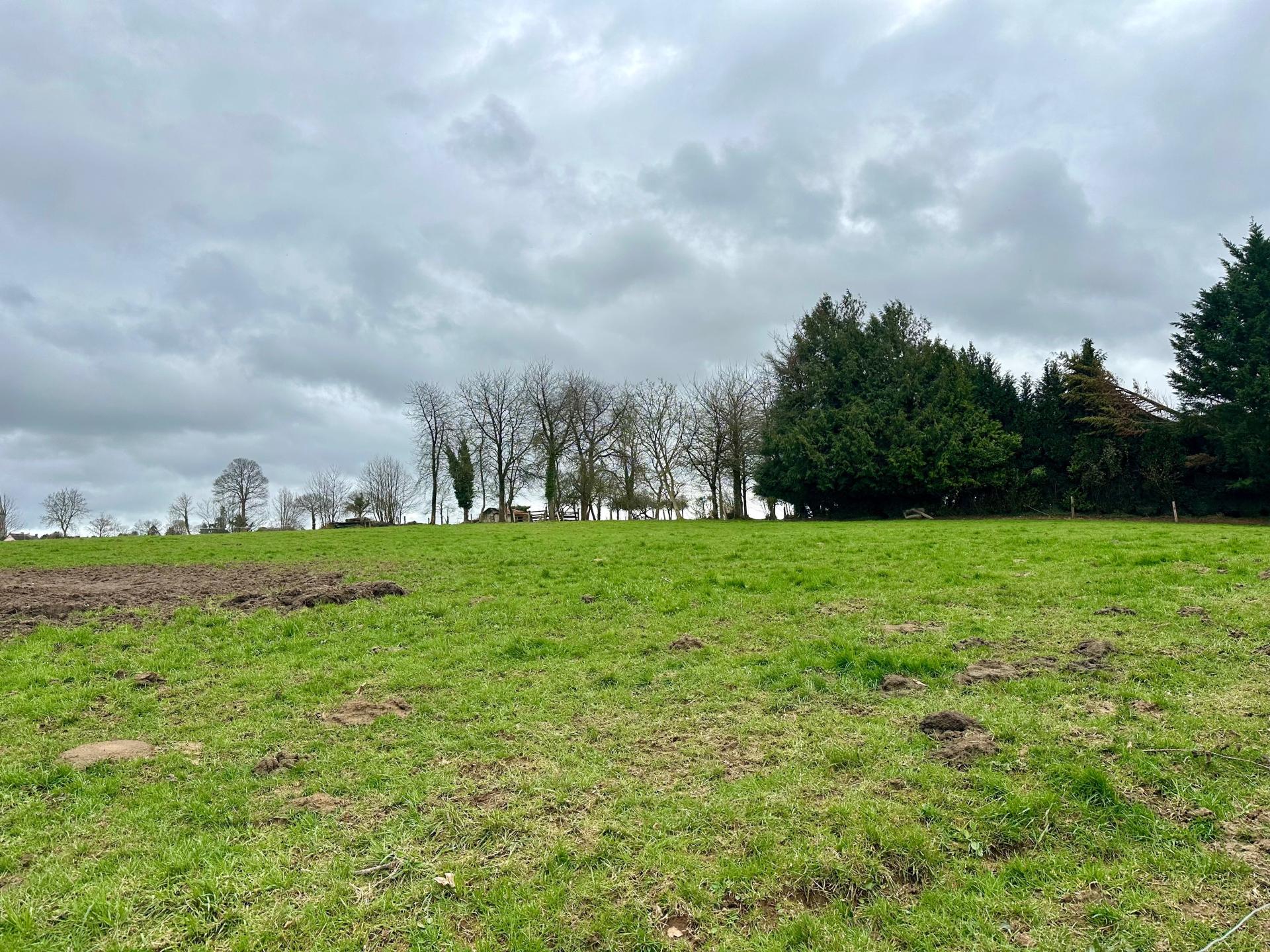 Miniature photo - 9 / 15