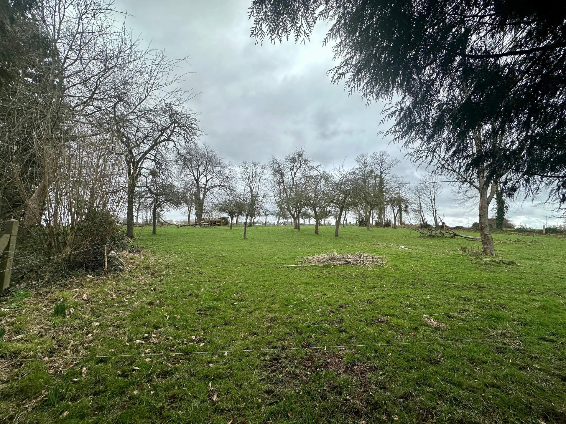 Miniature photo - 10 / 15