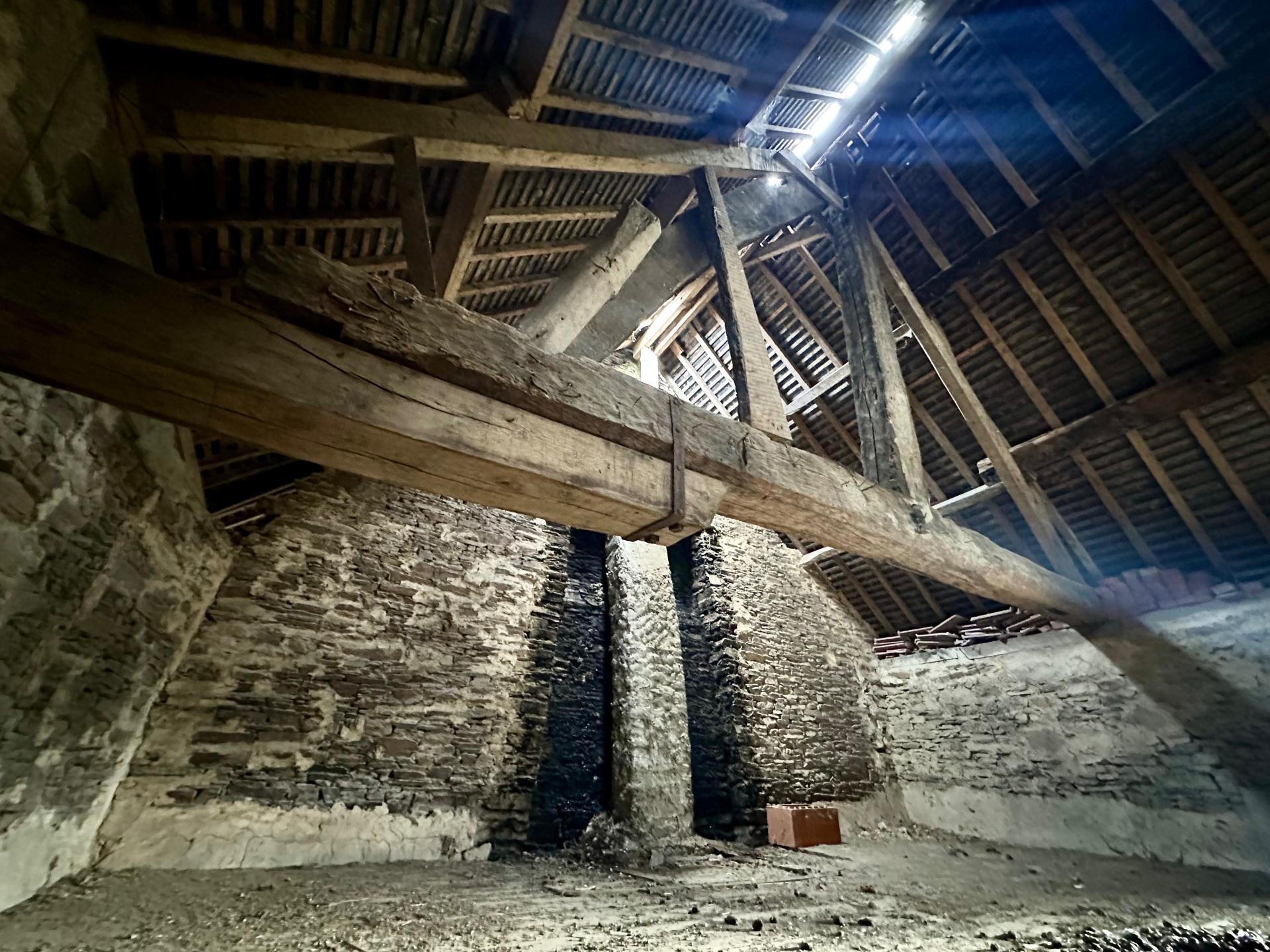 Miniature photo - 13 / 15